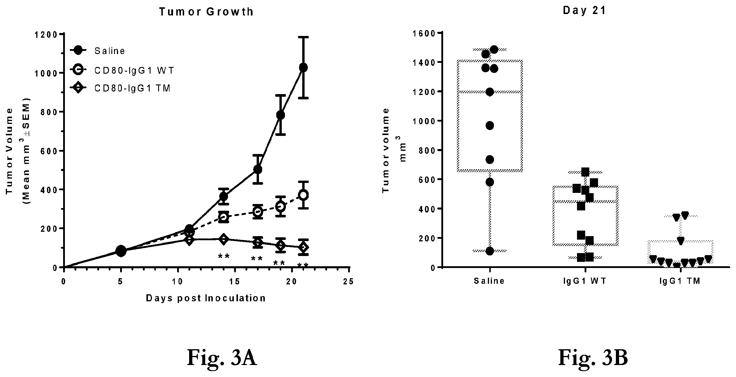 Patent US12365719 Figure 3 – CD80 extracellular domain polypeptides and their use in cancer treatment