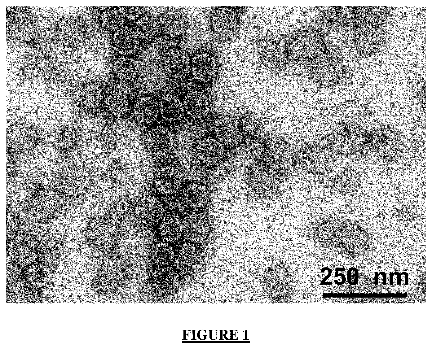 Patent US12365721 Figure 1 – Antibody targeting the VP-1 protein, fragments thereof, and uses of same for detecting infection with the BK polyomavirus