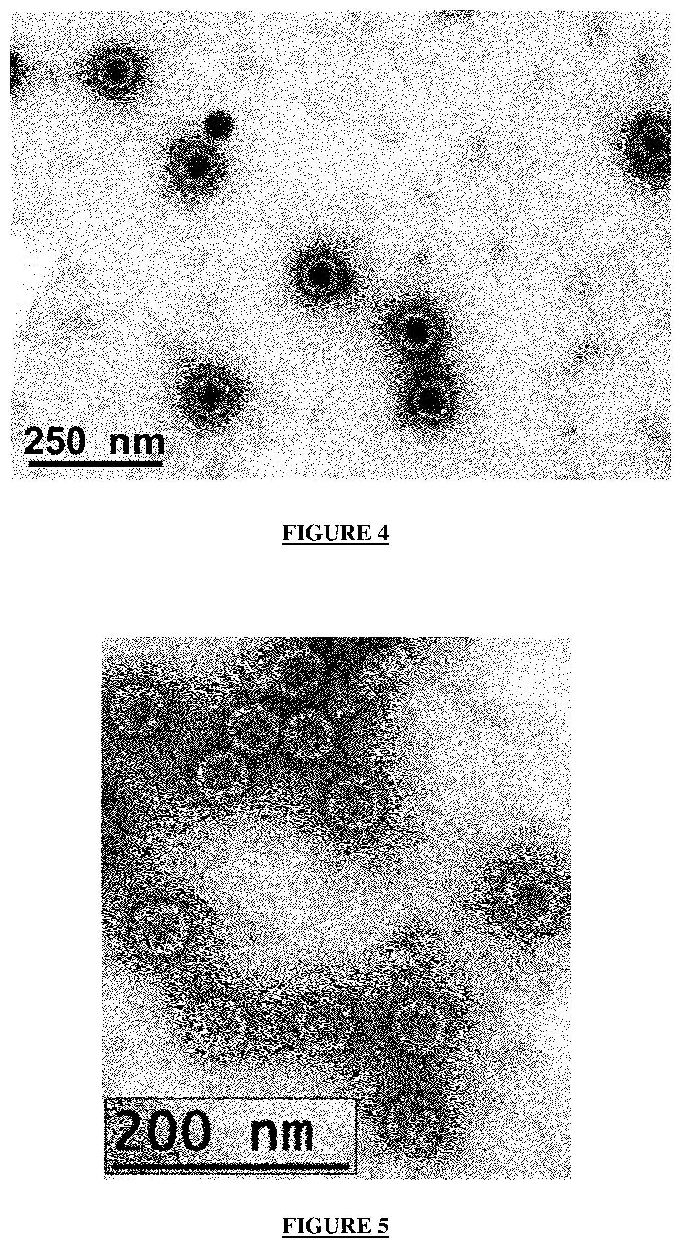 Patent US12365721 Figure 4 – Antibody targeting the VP-1 protein, fragments thereof, and uses of same for detecting infection with the BK polyomavirus