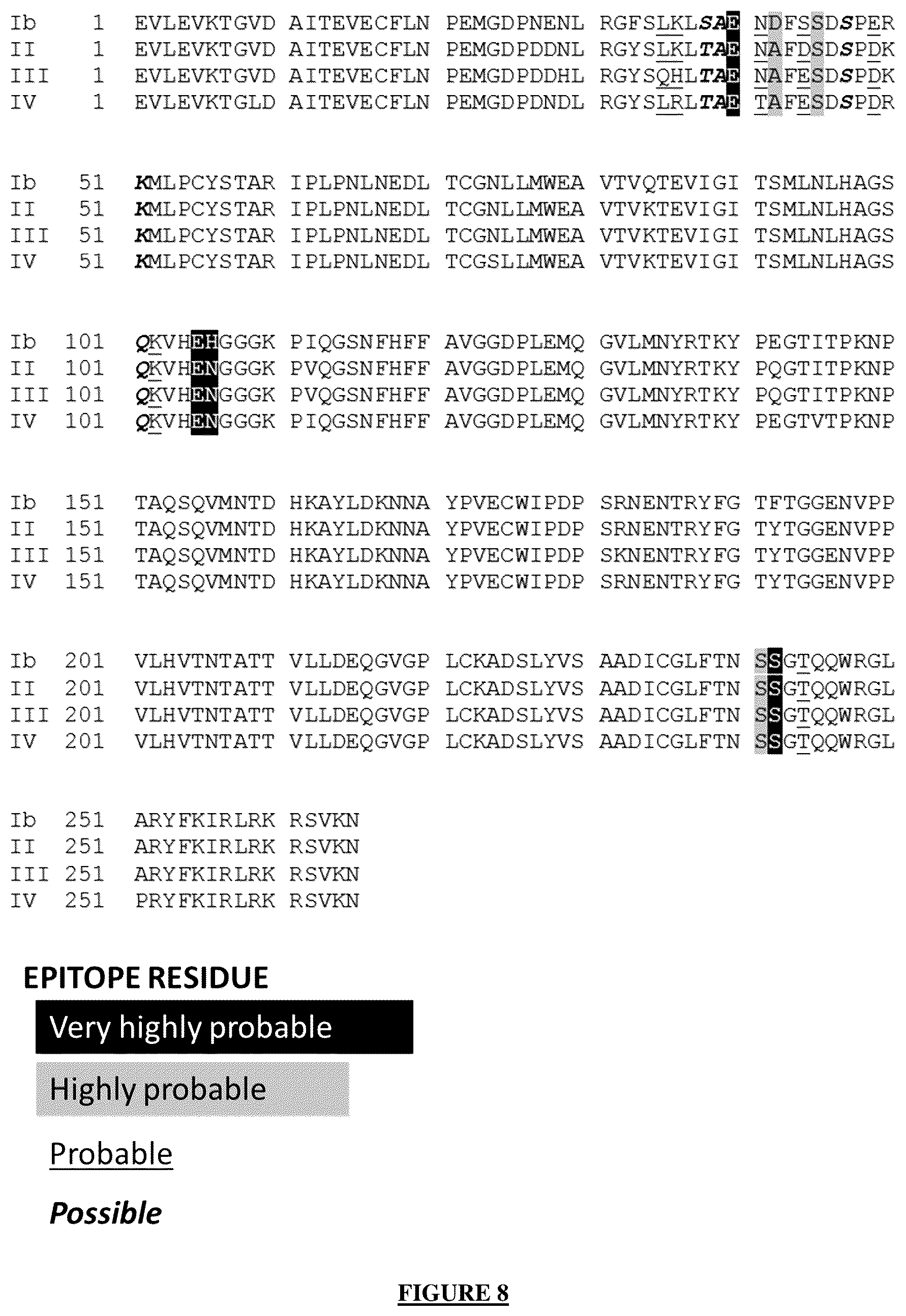 Patent US12365721 Figure 7 – Antibody targeting the VP-1 protein, fragments thereof, and uses of same for detecting infection with the BK polyomavirus