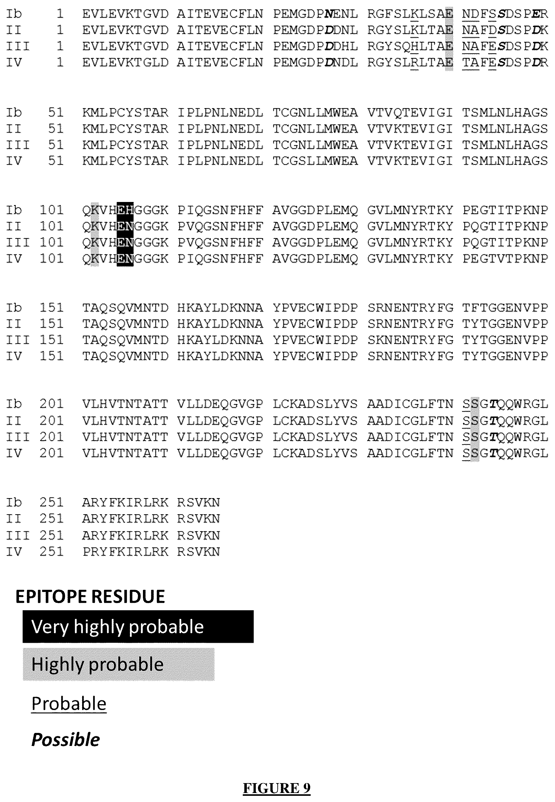 Patent US12365721 Figure 8 – Antibody targeting the VP-1 protein, fragments thereof, and uses of same for detecting infection with the BK polyomavirus
