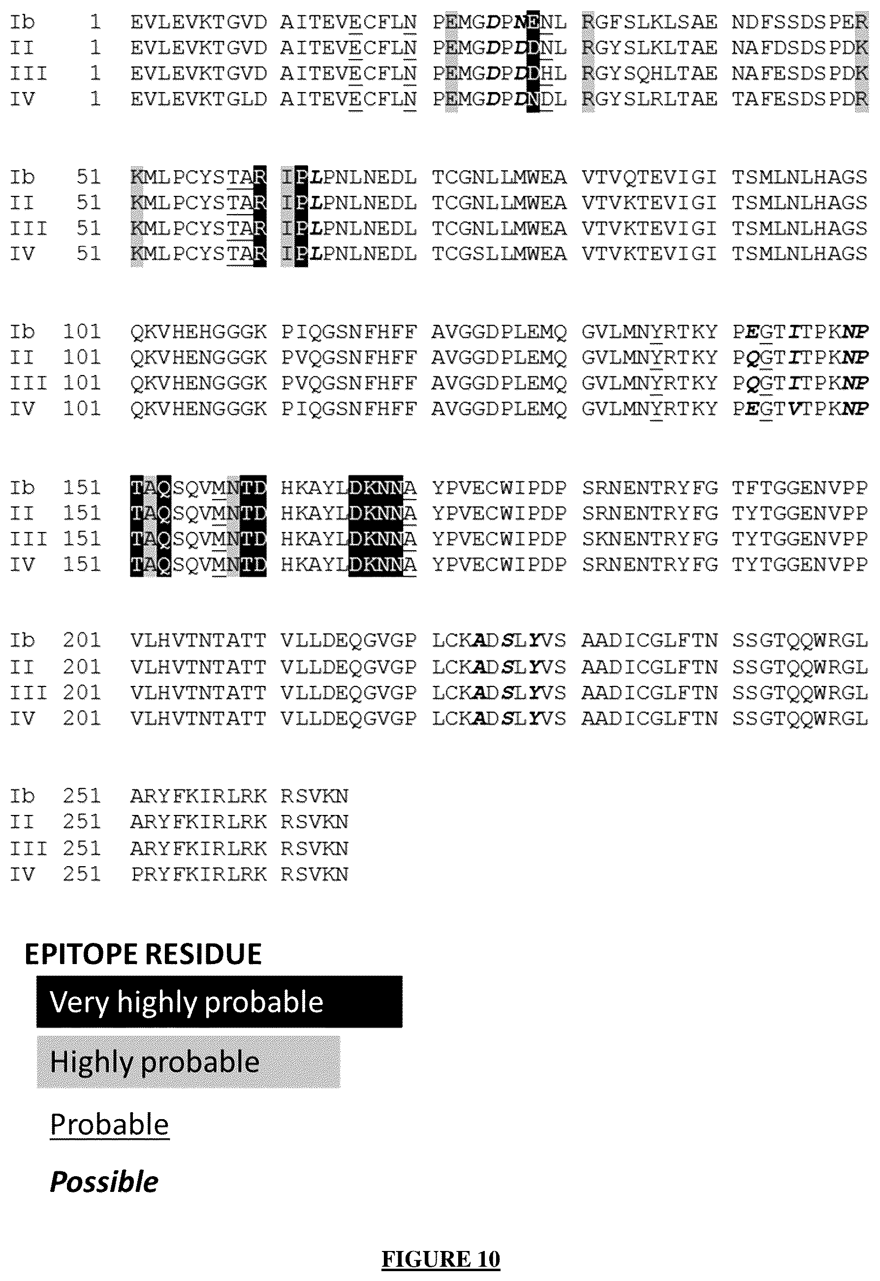 Patent US12365721 Figure 9 – Antibody targeting the VP-1 protein, fragments thereof, and uses of same for detecting infection with the BK polyomavirus