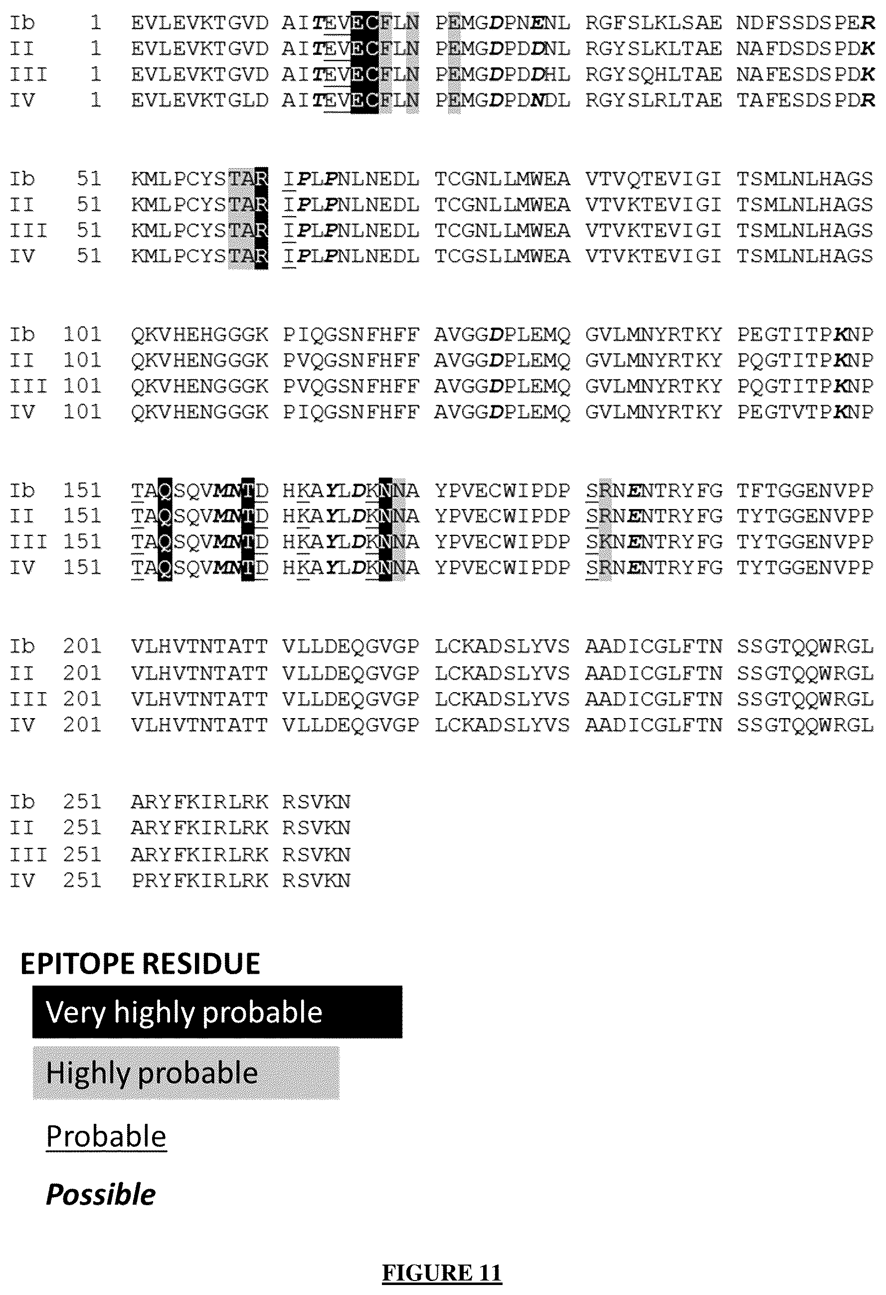 Patent US12365721 Figure 10 – Antibody targeting the VP-1 protein, fragments thereof, and uses of same for detecting infection with the BK polyomavirus