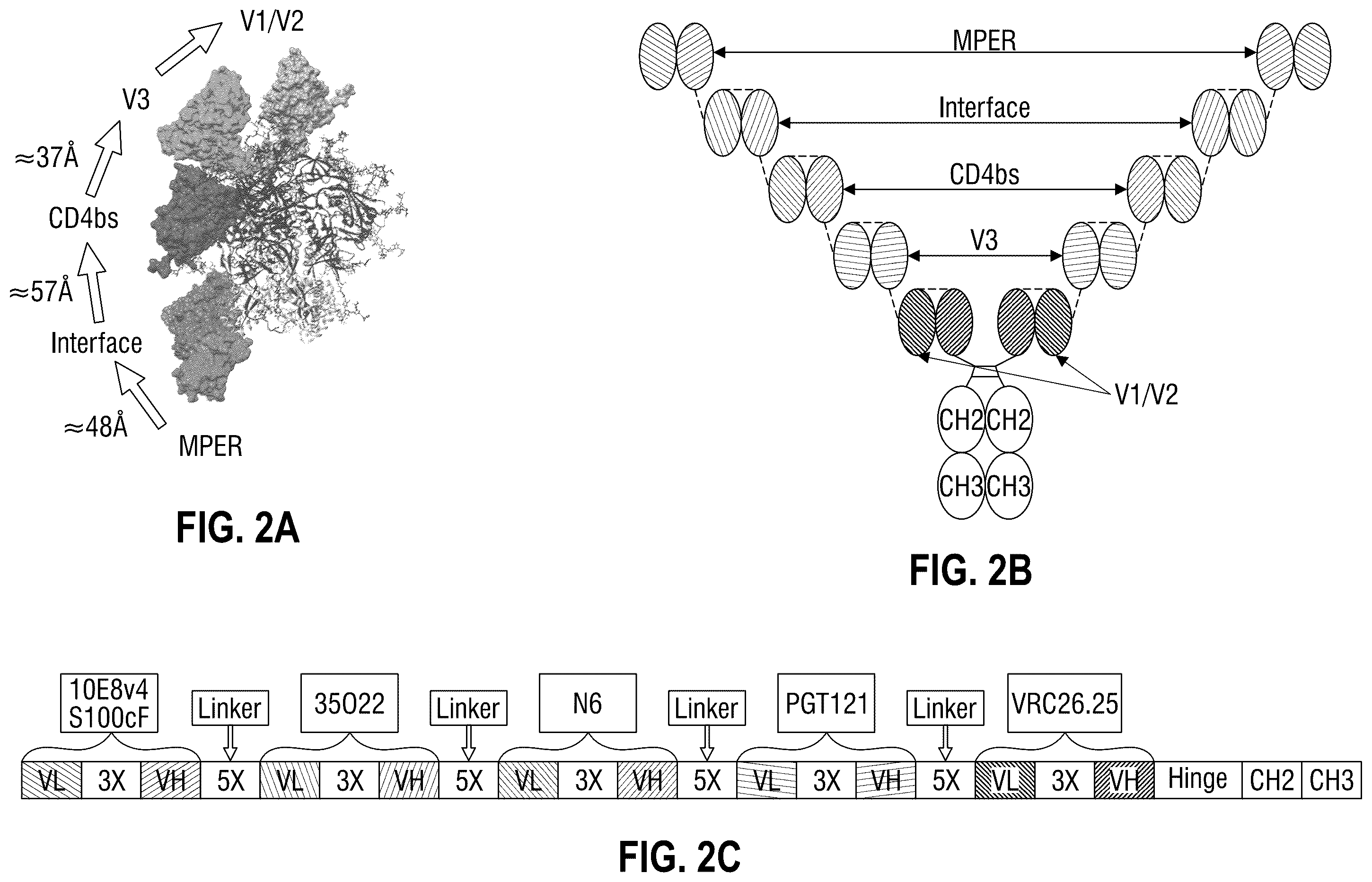 Patent US12365722 Figure 2 – Multispecific antibodies targeting multiple epitopes on the HIV-1 envelope