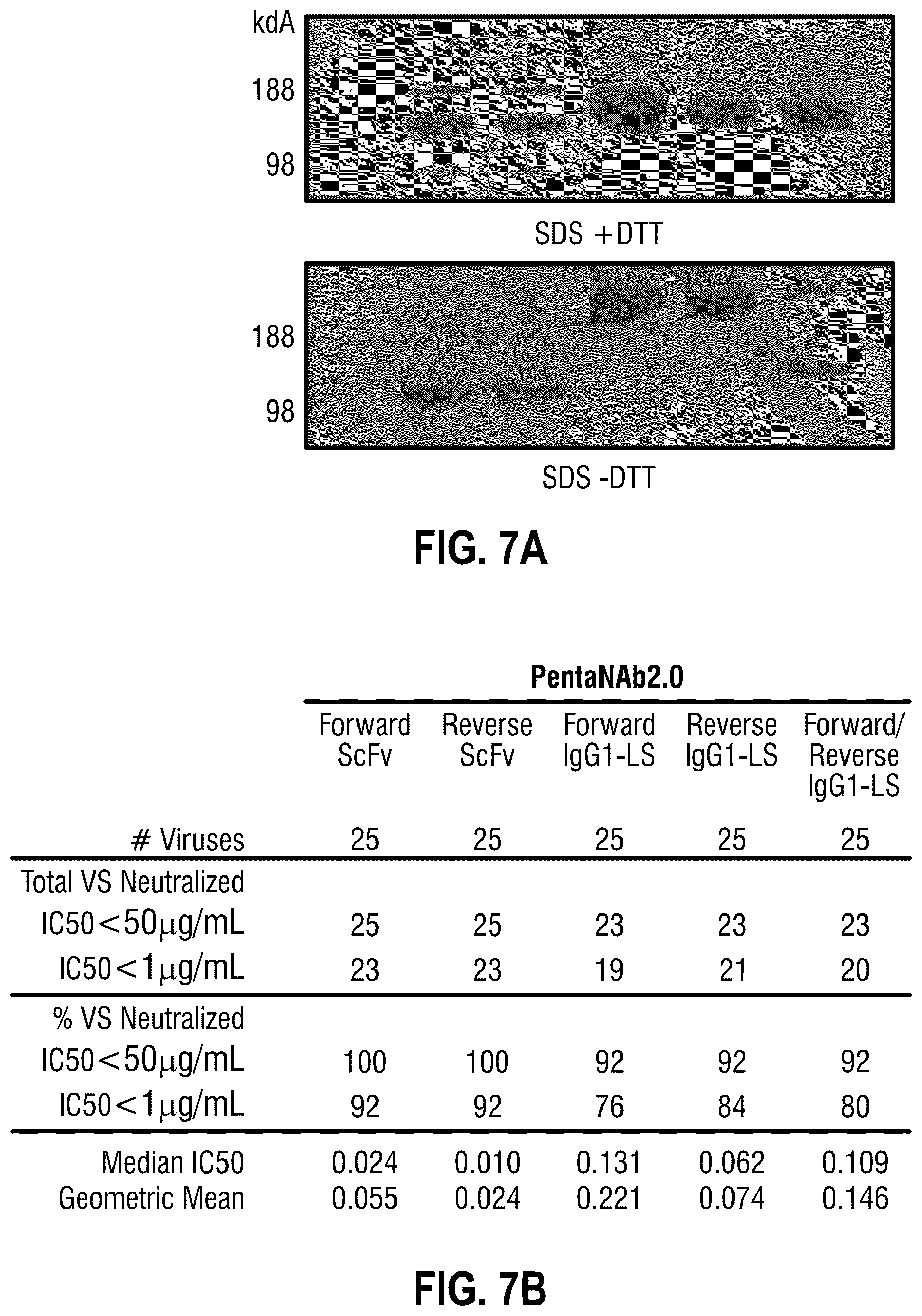 Patent US12365722 Figure 15 – Multispecific antibodies targeting multiple epitopes on the HIV-1 envelope