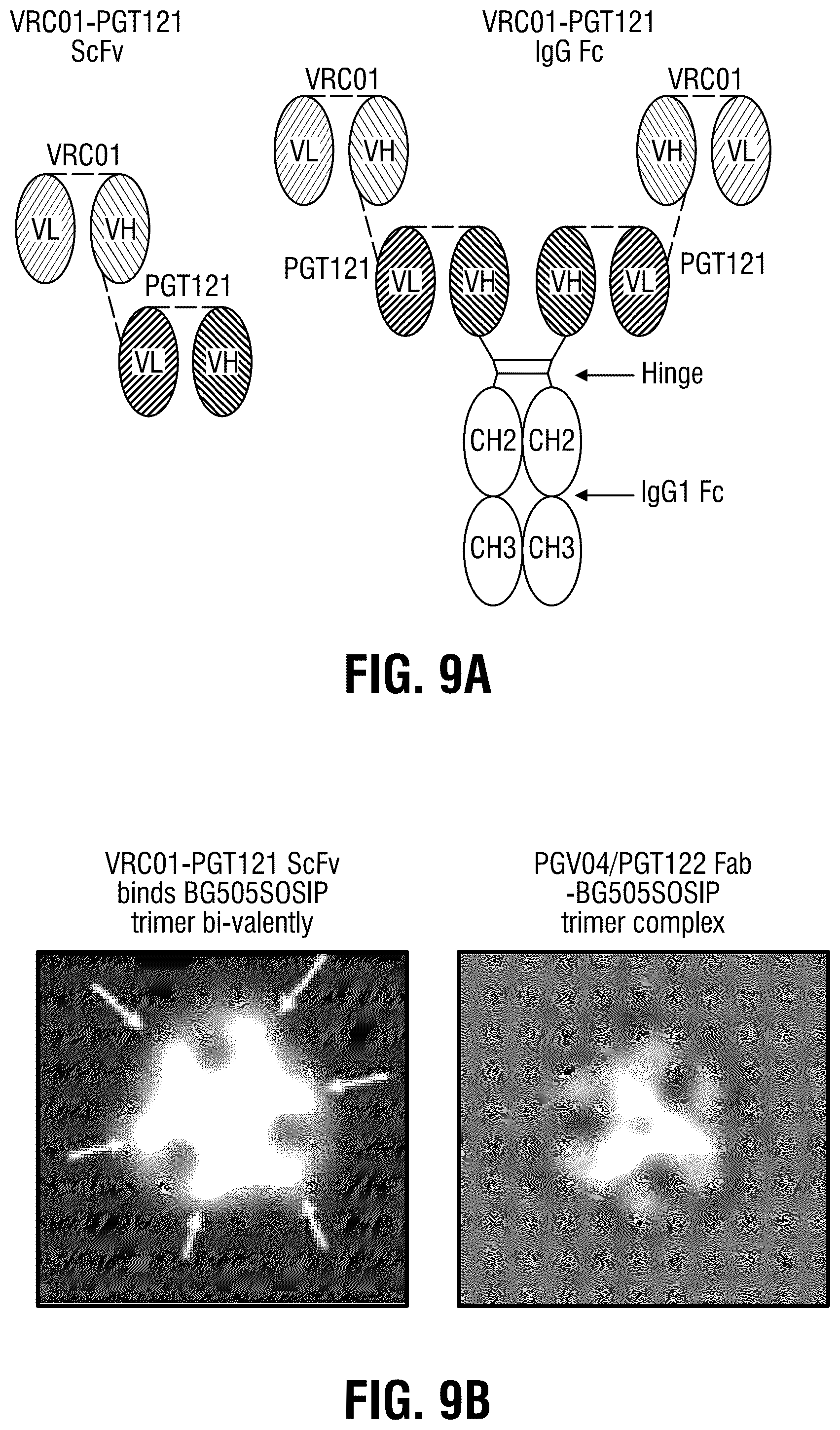 Patent US12365722 Figure 20 – Multispecific antibodies targeting multiple epitopes on the HIV-1 envelope