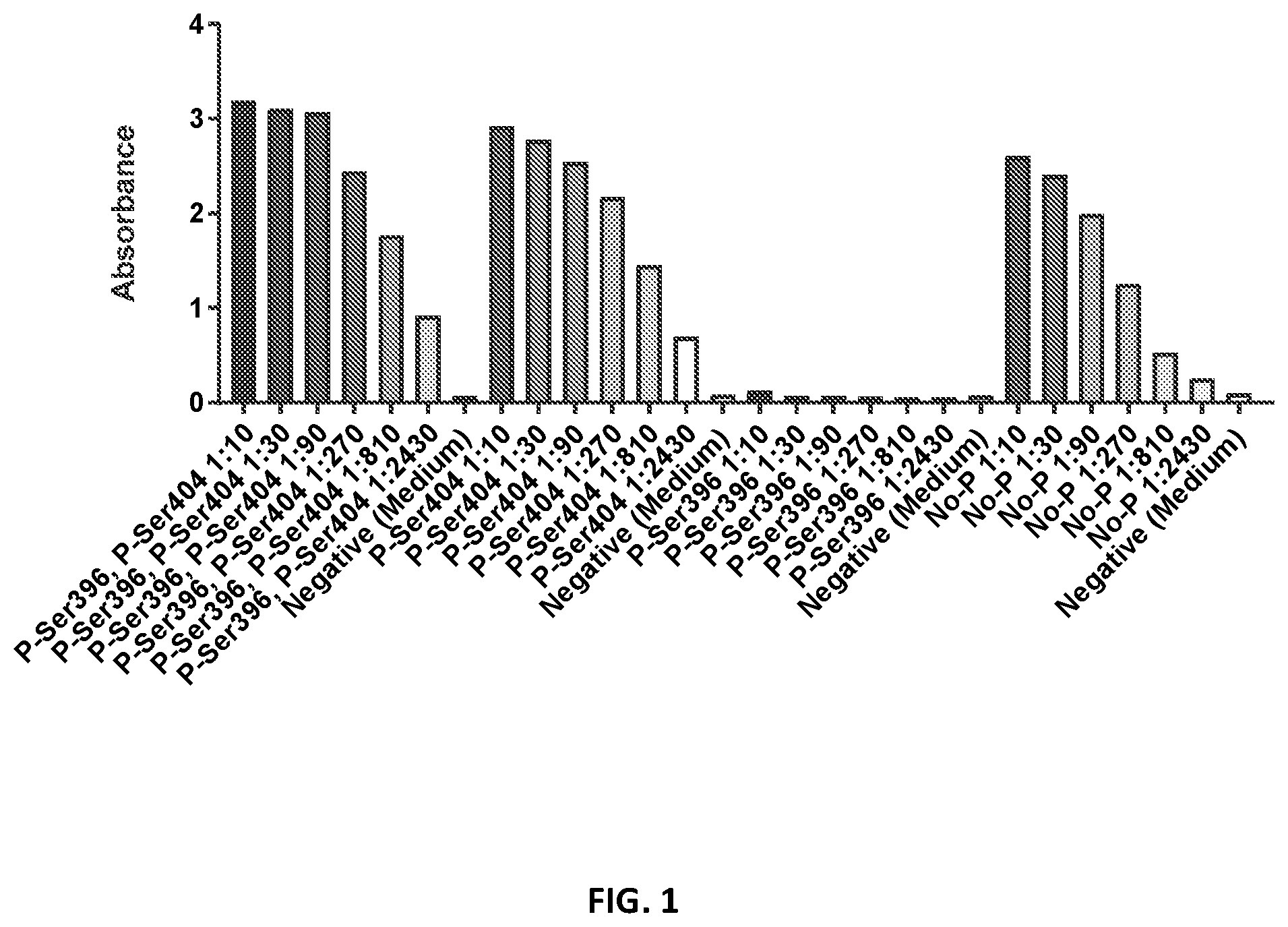 Patent US12365724 Figure 1 – Antibodies binding to phospho-tau comprising phosphorylated Ser396 and Ser404 and methods of detecting thereof