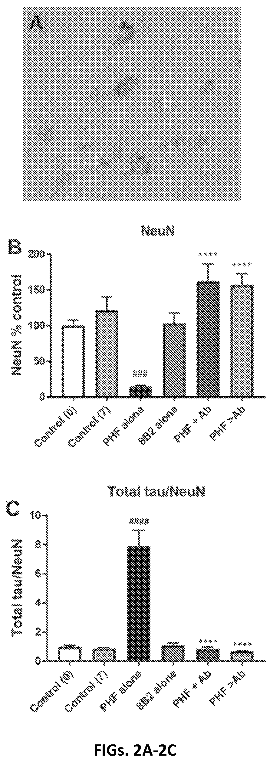 Patent US12365724 Figure 2 – Antibodies binding to phospho-tau comprising phosphorylated Ser396 and Ser404 and methods of detecting thereof