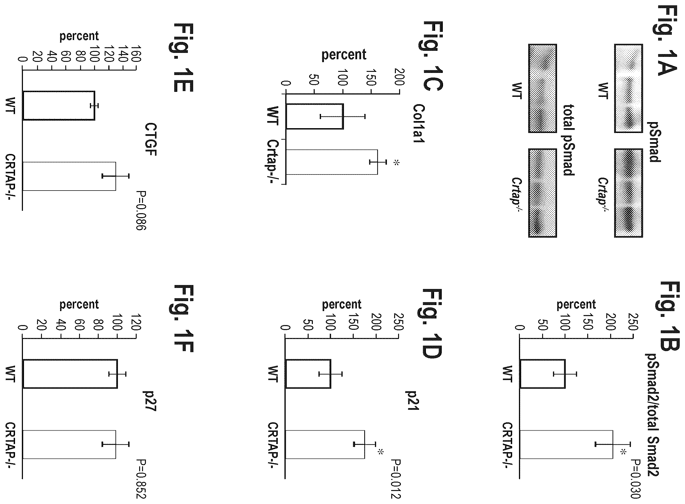 Patent US12365725 Figure 1 – Methods for treating osteogenesis imperfecta