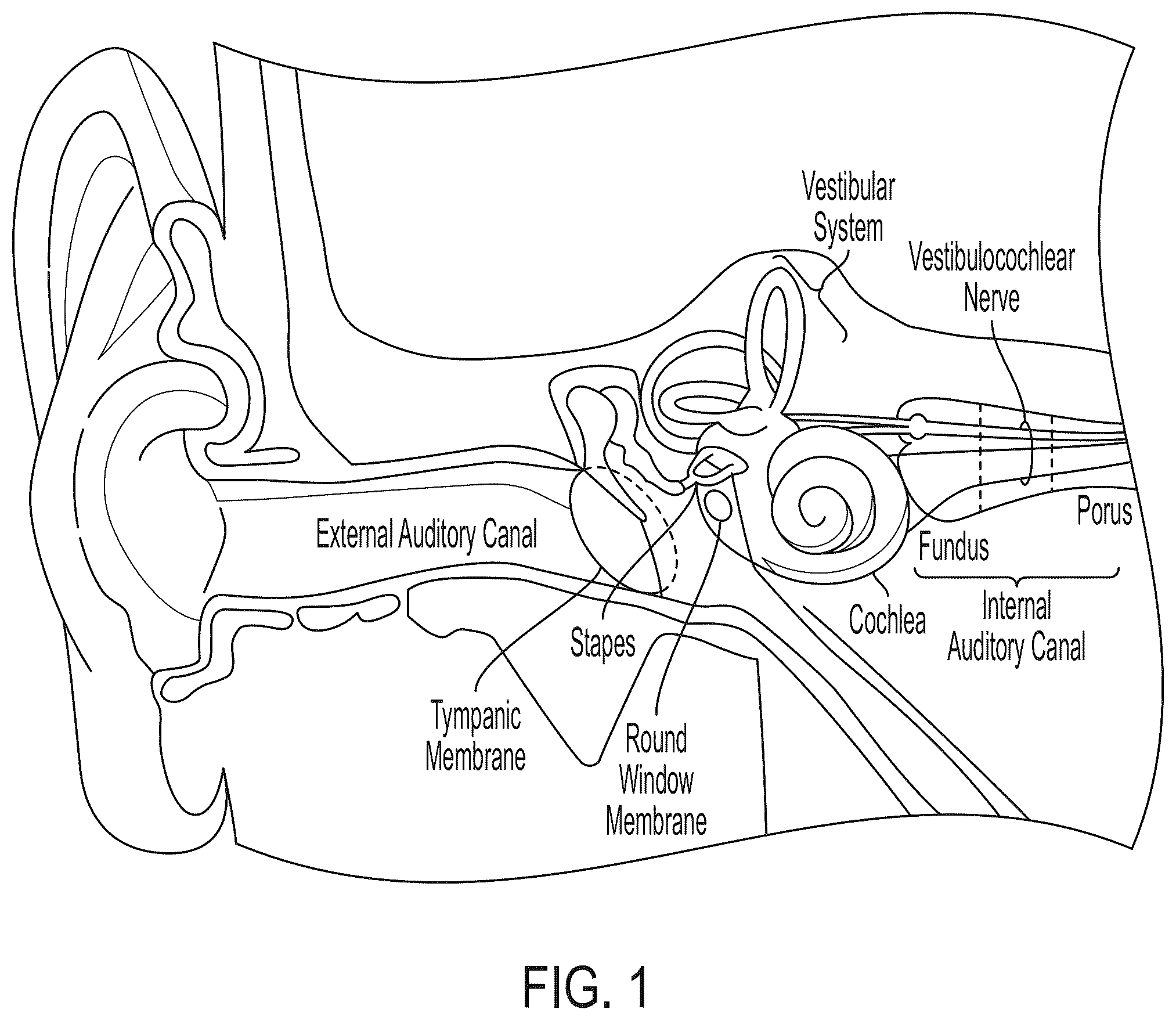 Patent US12365726 Figure 1 – Anti-VEGF antibody constructs
