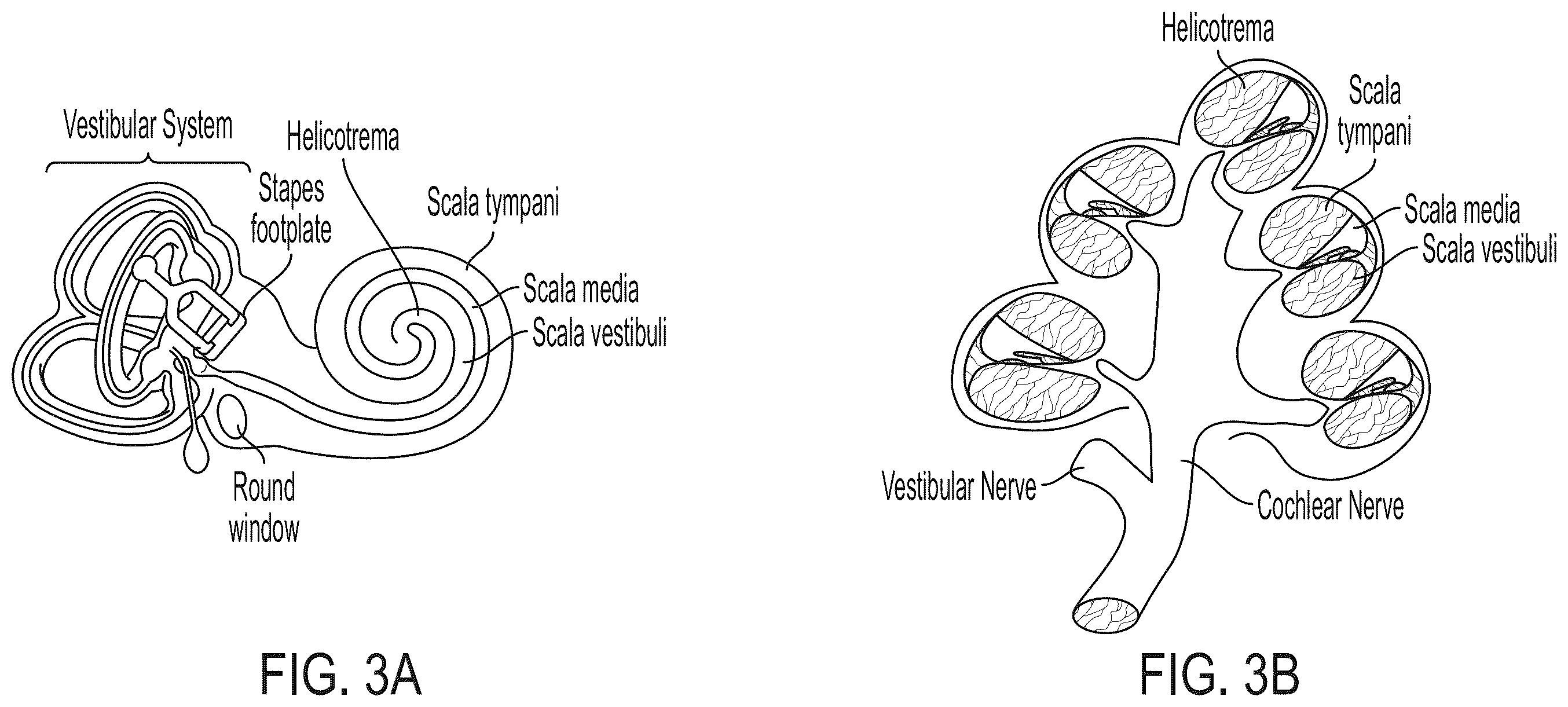 Patent US12365726 Figure 3 – Anti-VEGF antibody constructs