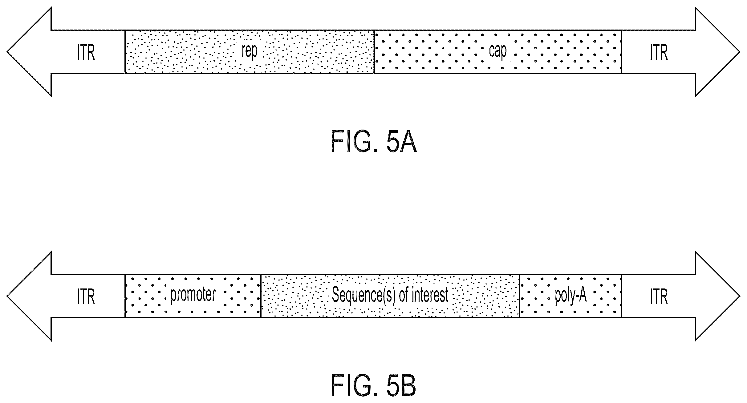 Patent US12365726 Figure 5 – Anti-VEGF antibody constructs