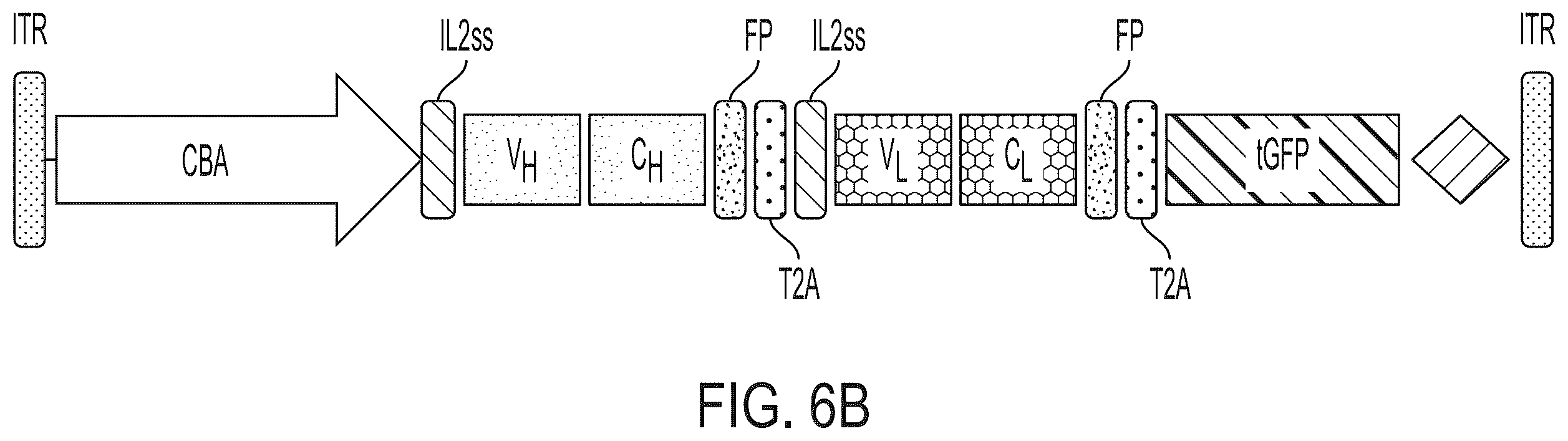 Patent US12365726 Figure 7 – Anti-VEGF antibody constructs