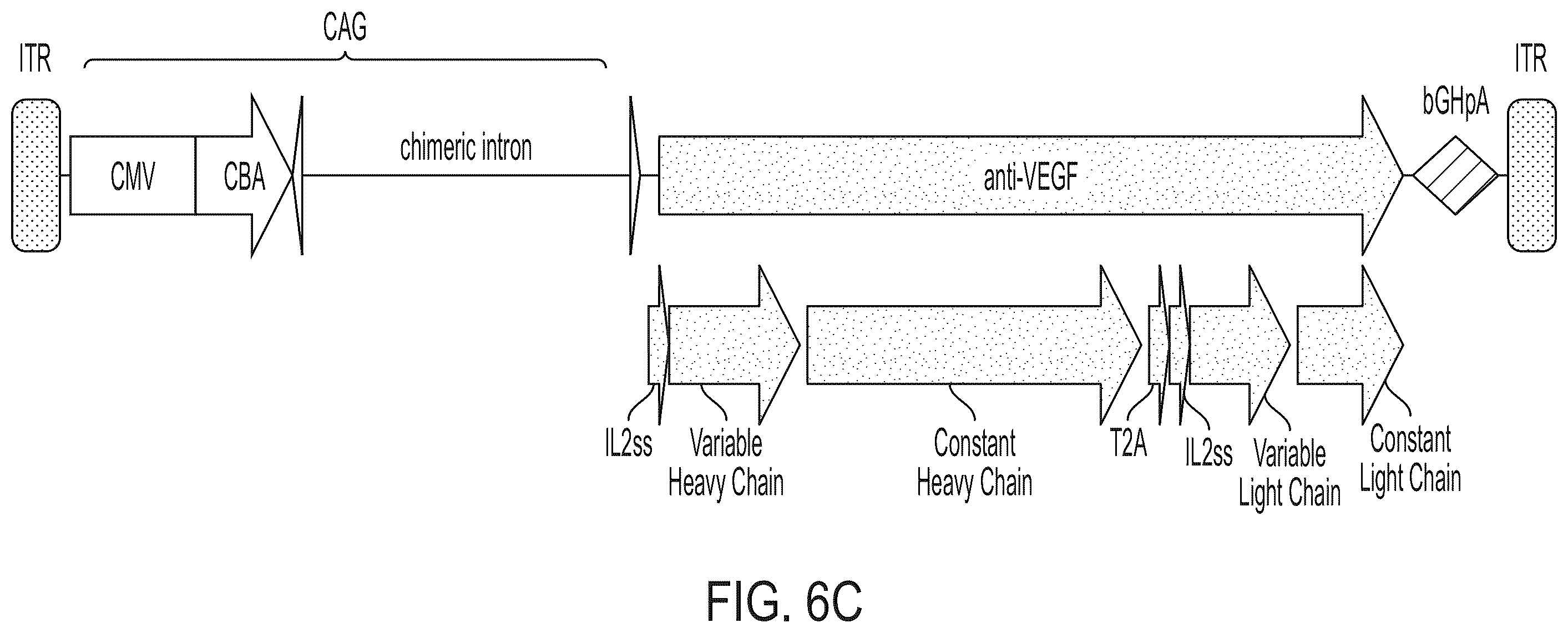 Patent US12365726 Figure 8 – Anti-VEGF antibody constructs