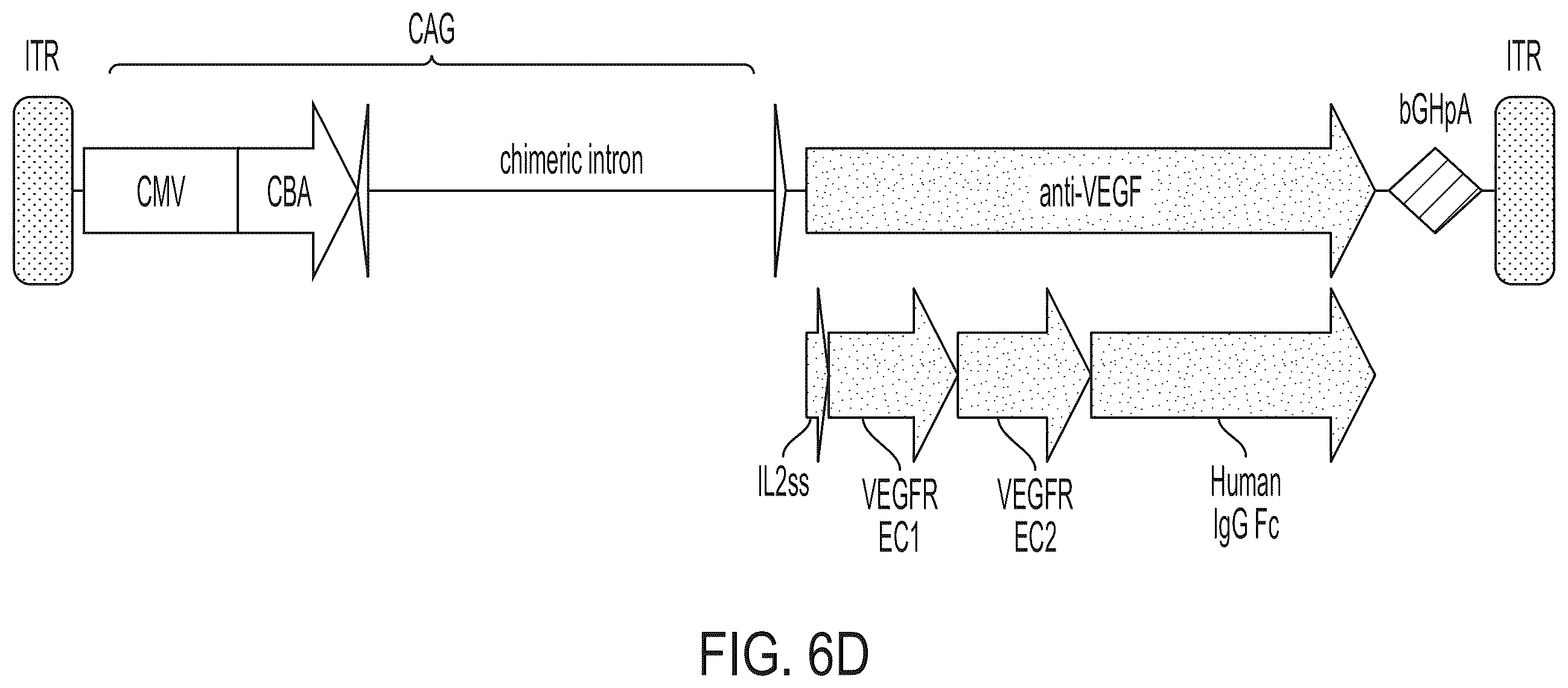 Patent US12365726 Figure 9 – Anti-VEGF antibody constructs