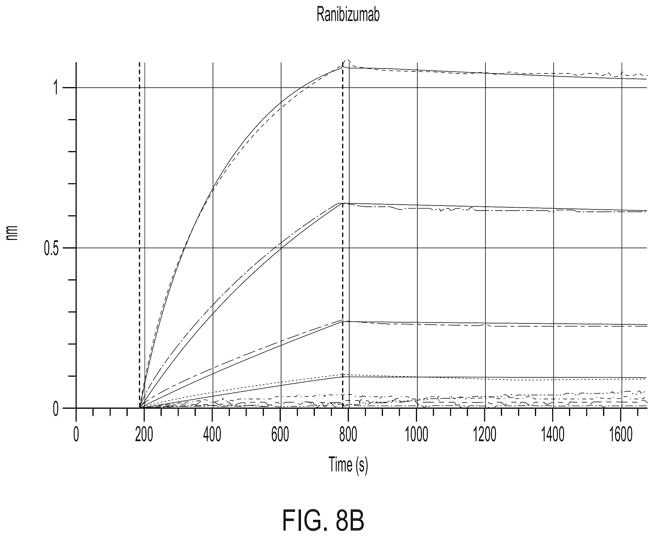 Patent US12365726 Figure 12 – Anti-VEGF antibody constructs