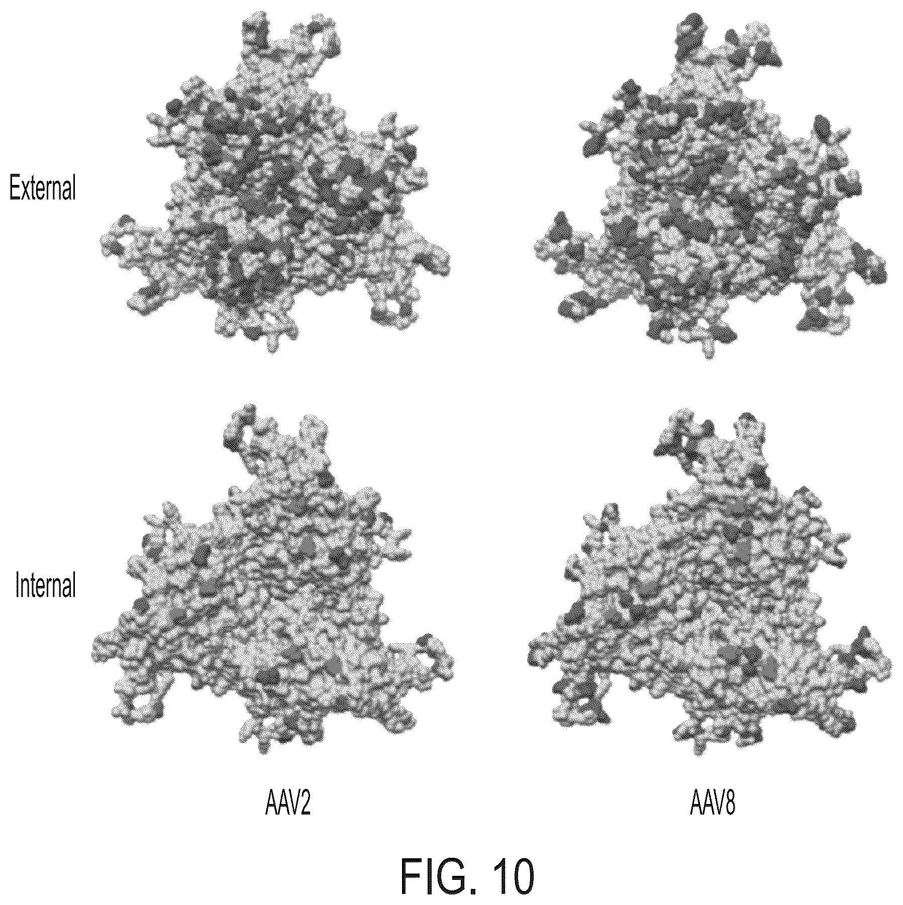 Patent US12365726 Figure 16 – Anti-VEGF antibody constructs