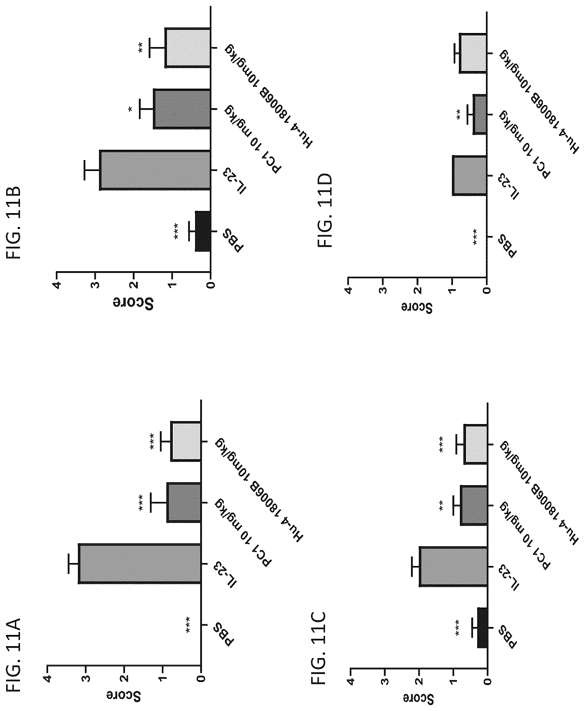 Patent US12365727 Figure 17 – Anti-interleukin-23 P19 antibodies and methods of use thereof