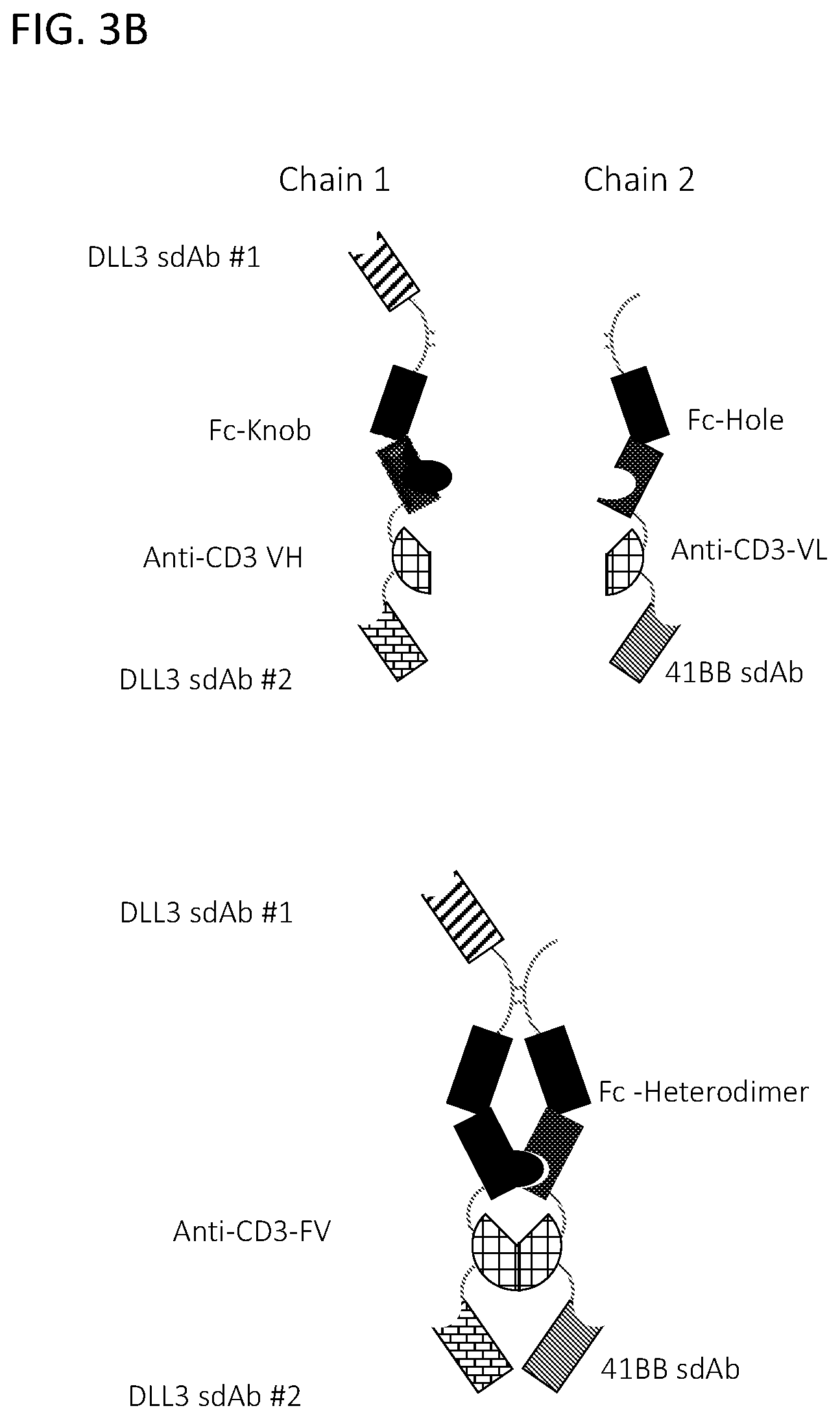 Patent US12365728 Figure 9 – DLL3 single domain antibodies and therapeutic compositions thereof