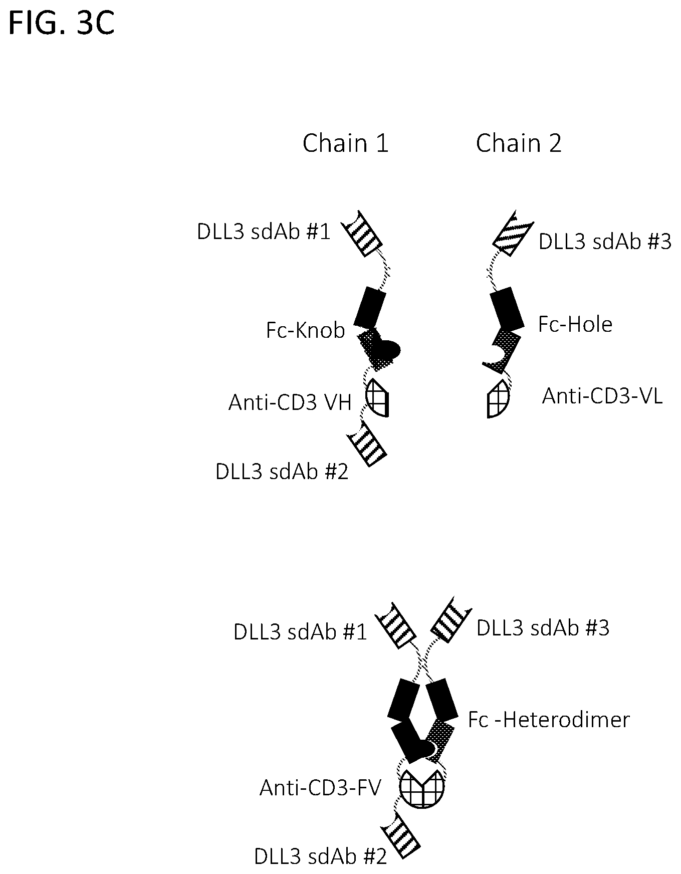 Patent US12365728 Figure 10 – DLL3 single domain antibodies and therapeutic compositions thereof