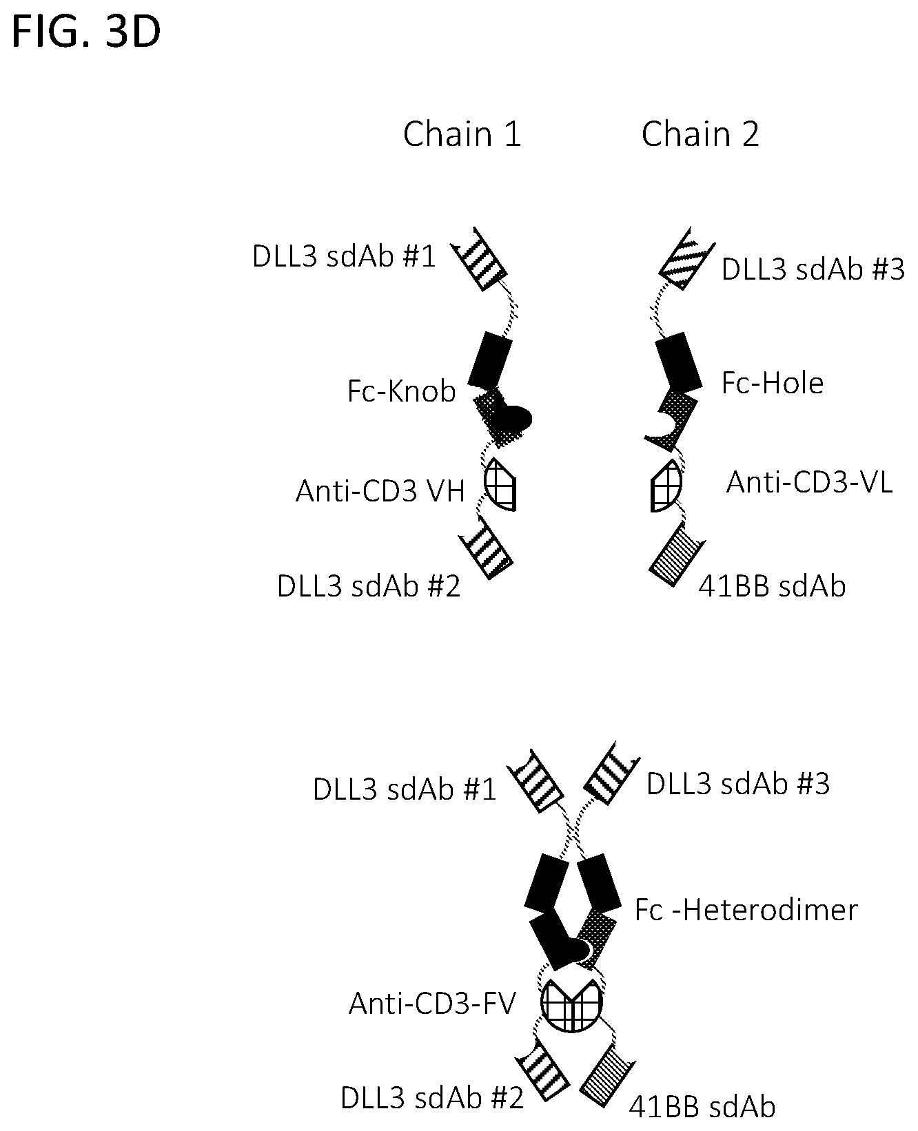 Patent US12365728 Figure 11 – DLL3 single domain antibodies and therapeutic compositions thereof