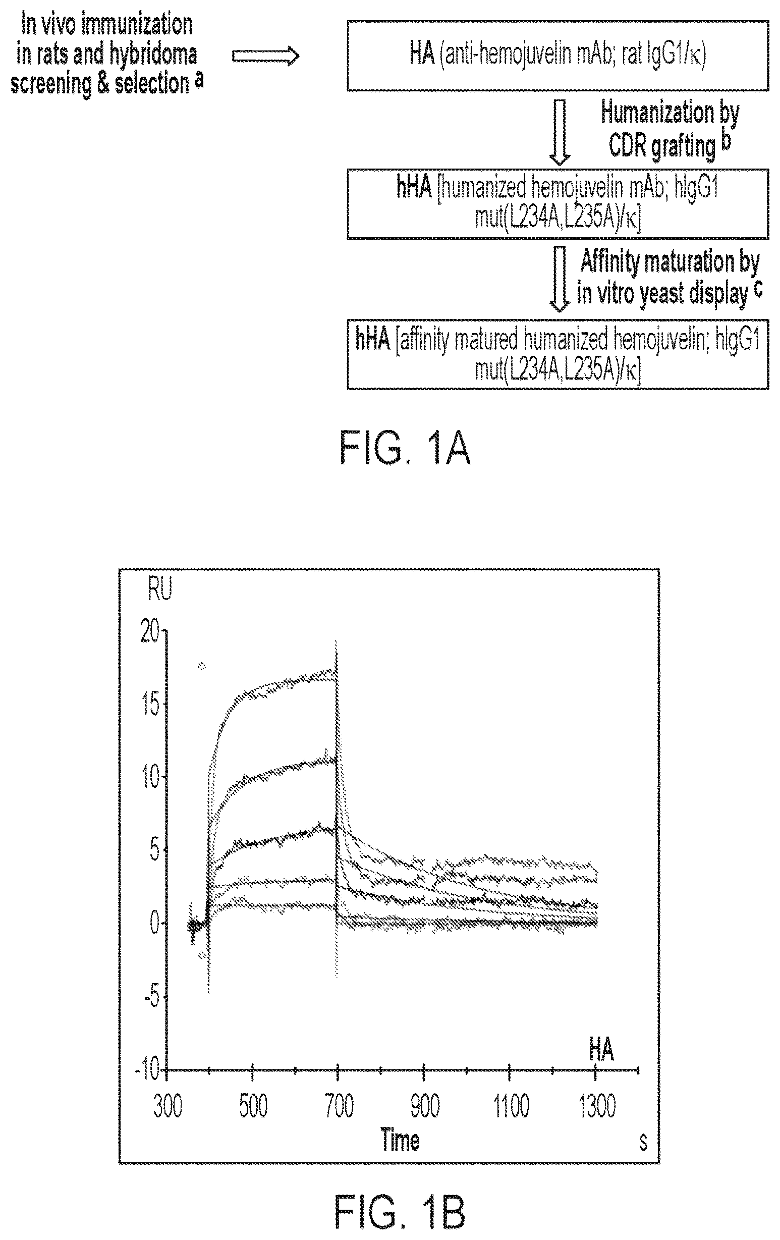 Patent US12365729 Figure 1 – Anti-hemojuvelin (HJV) antibodies for treating myelofibrosis