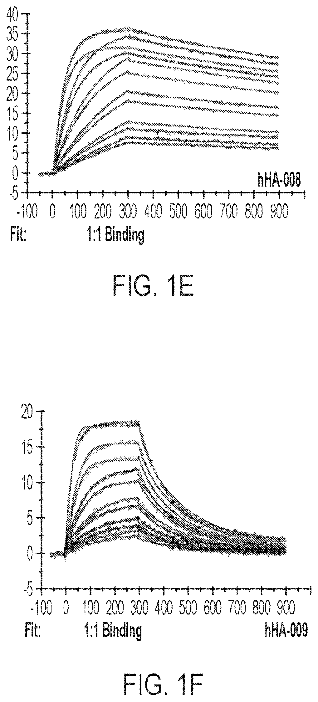 Patent US12365729 Figure 3 – Anti-hemojuvelin (HJV) antibodies for treating myelofibrosis