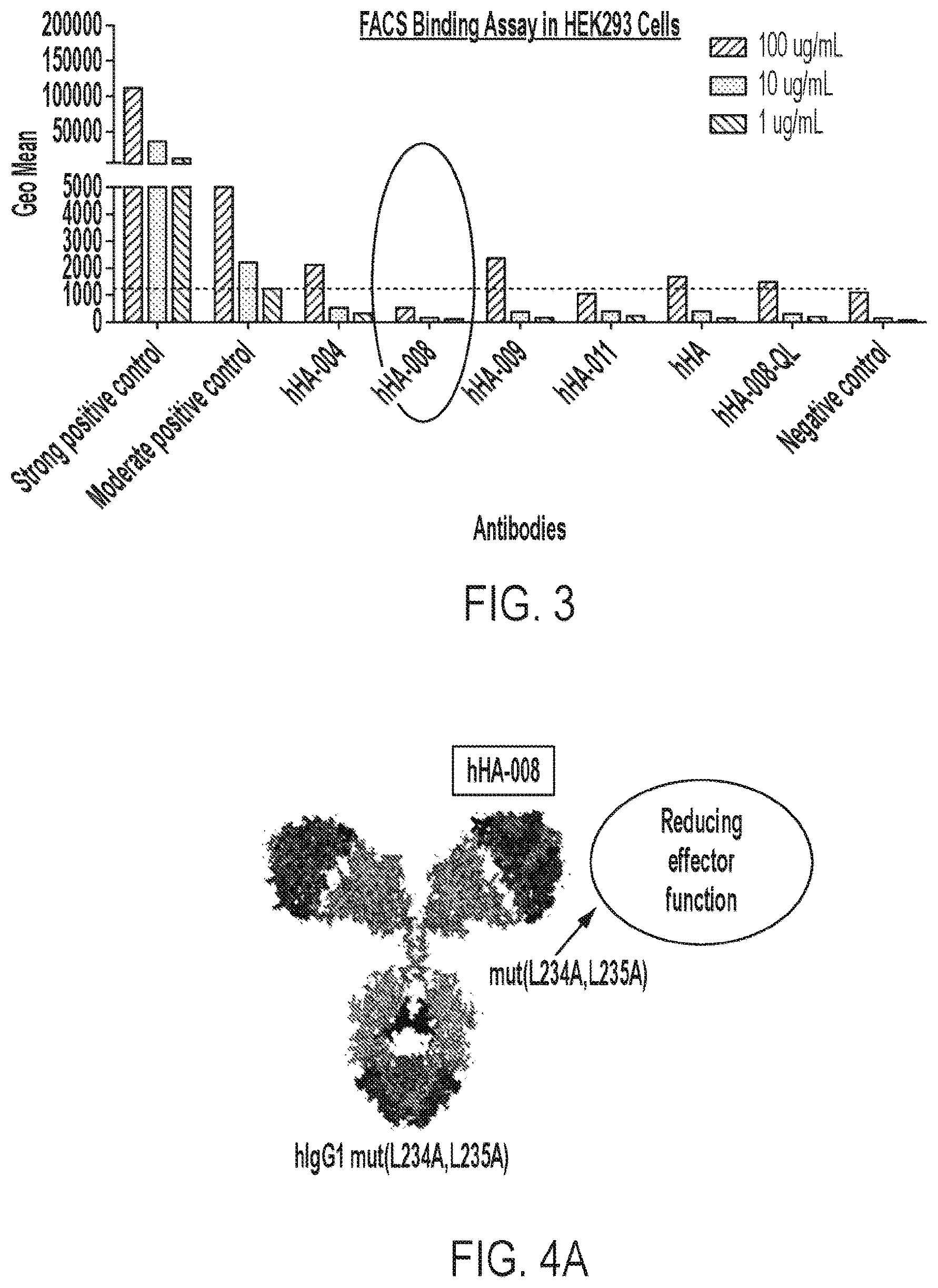 Patent US12365729 Figure 6 – Anti-hemojuvelin (HJV) antibodies for treating myelofibrosis