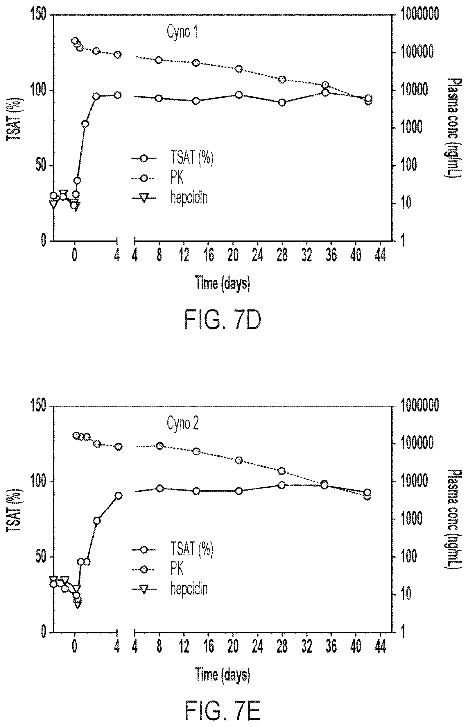 Patent US12365729 Figure 13 – Anti-hemojuvelin (HJV) antibodies for treating myelofibrosis