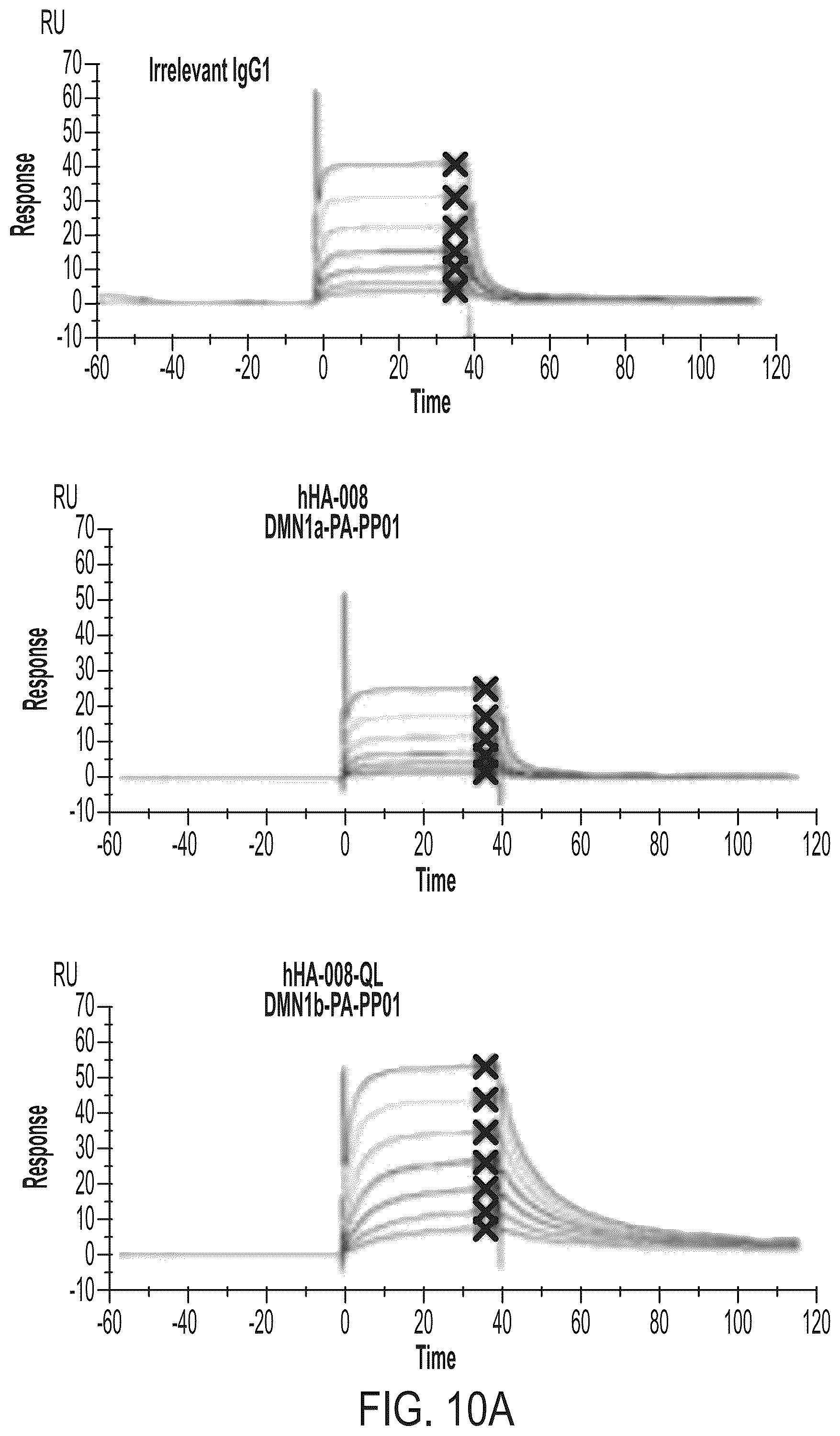 Patent US12365729 Figure 18 – Anti-hemojuvelin (HJV) antibodies for treating myelofibrosis