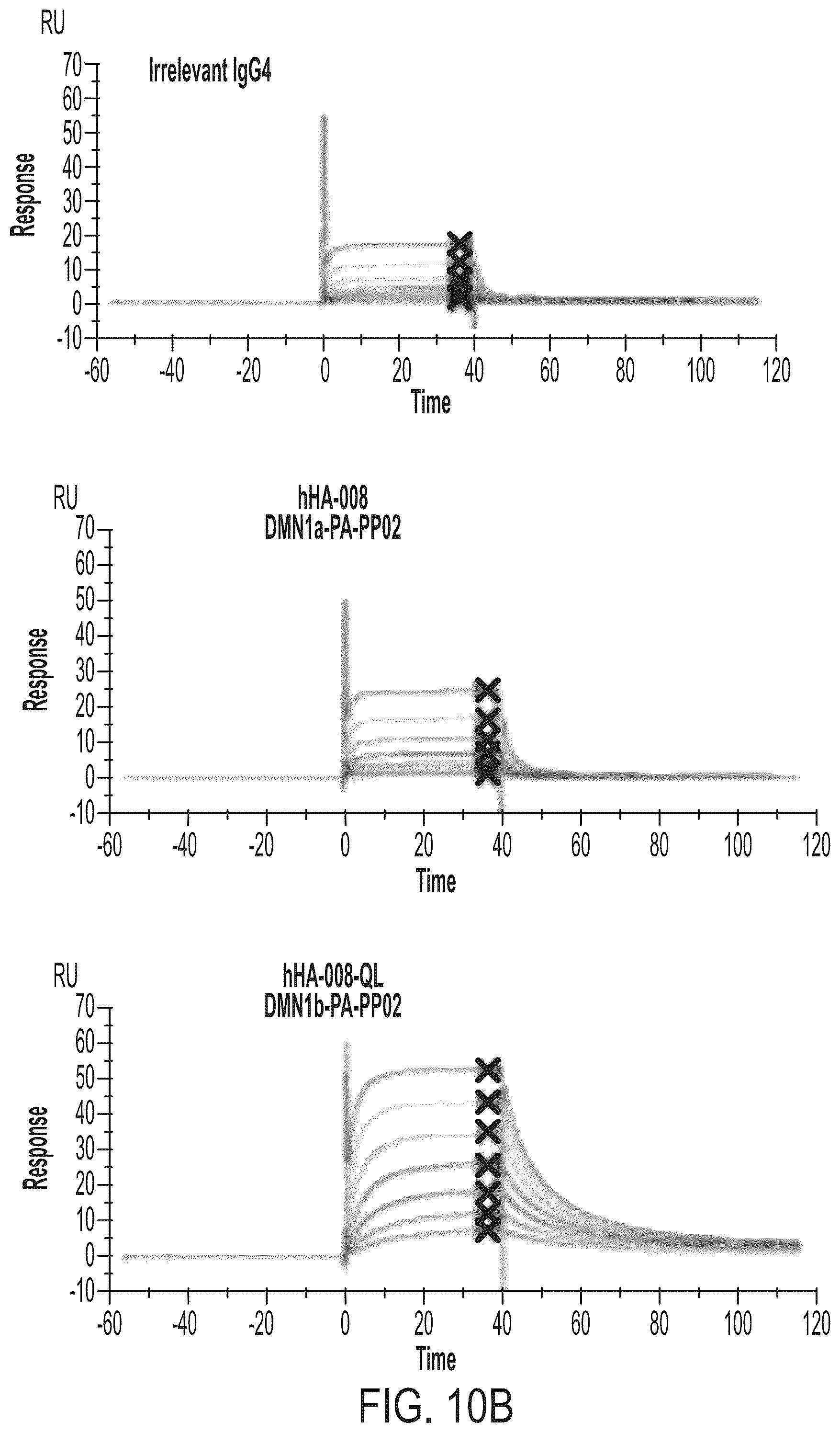 Patent US12365729 Figure 19 – Anti-hemojuvelin (HJV) antibodies for treating myelofibrosis