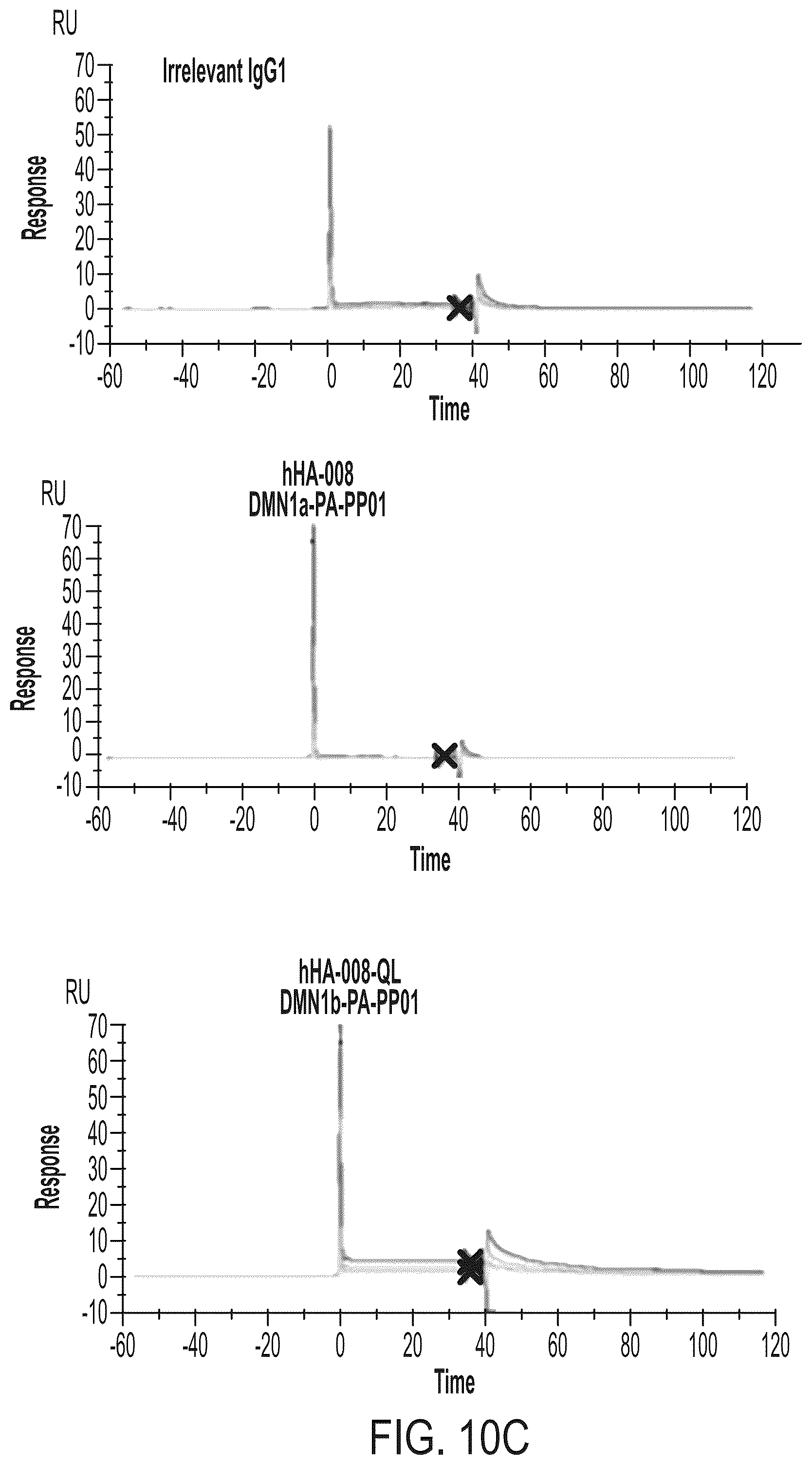 Patent US12365729 Figure 20 – Anti-hemojuvelin (HJV) antibodies for treating myelofibrosis