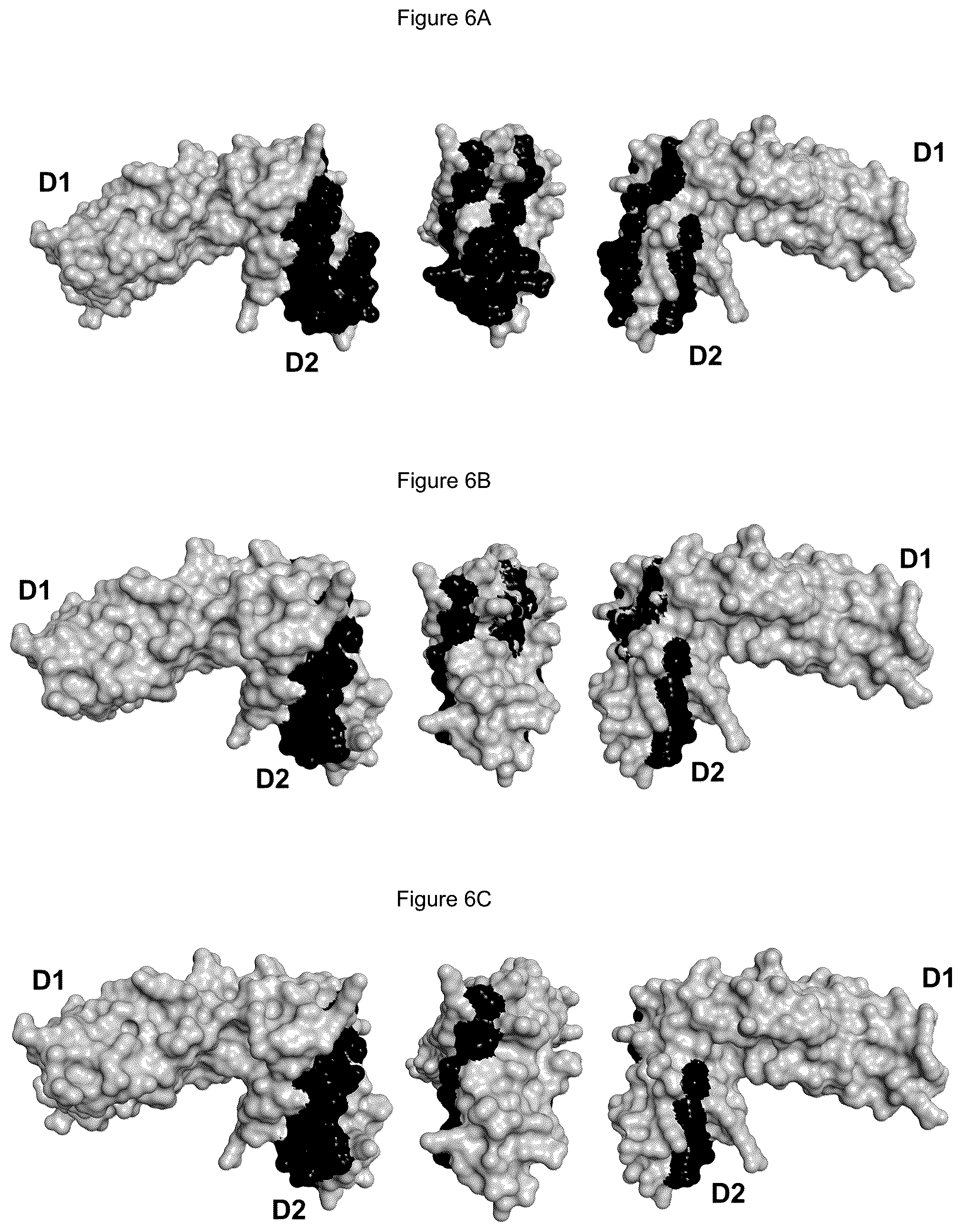 Patent US12365731 Figure 5 – NKp46 binding agents