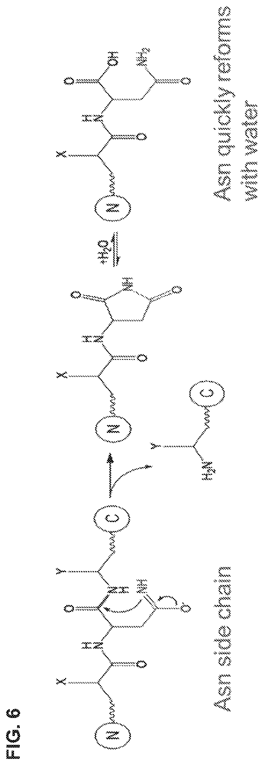Patent US12365734 Figure 7 – Anti-alpha beta TCR binding polypeptides with reduced fragmentation