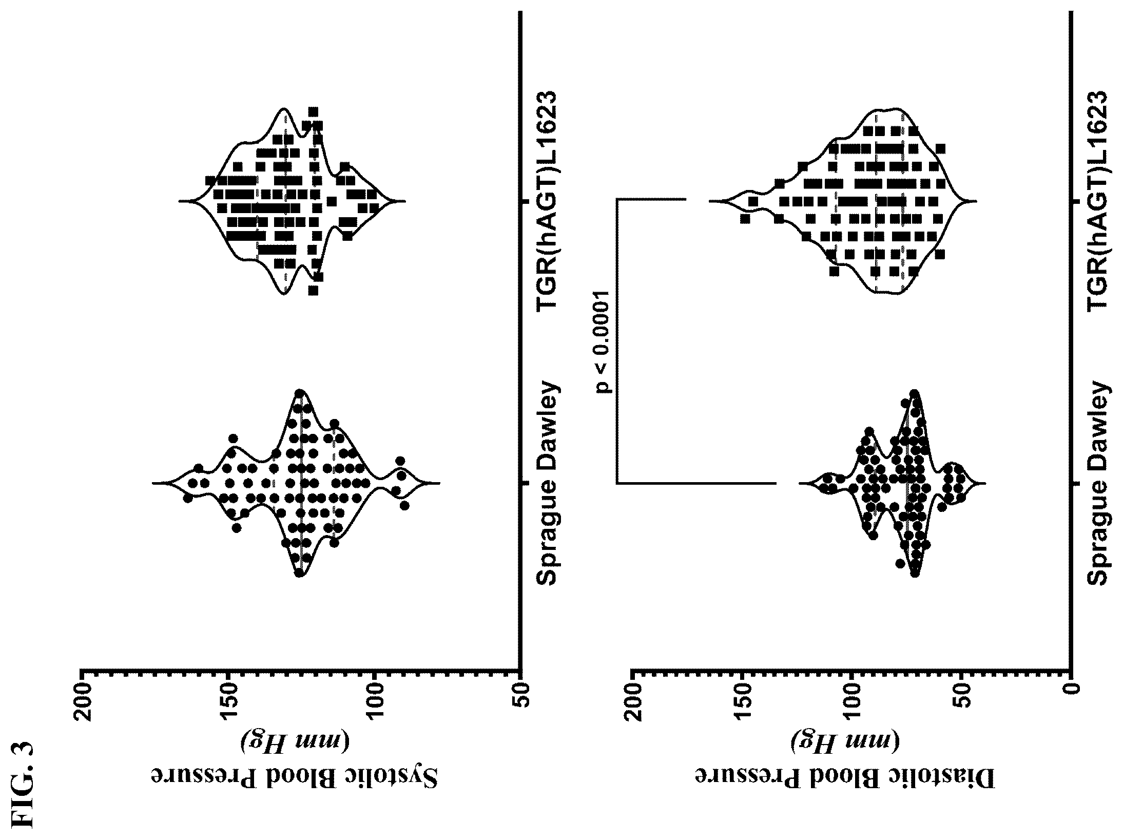 Patent US12365739 Figure 2 – Monoclonal antibodies to angiotensin-(1-12), compositions including the same, and methods of use thereof