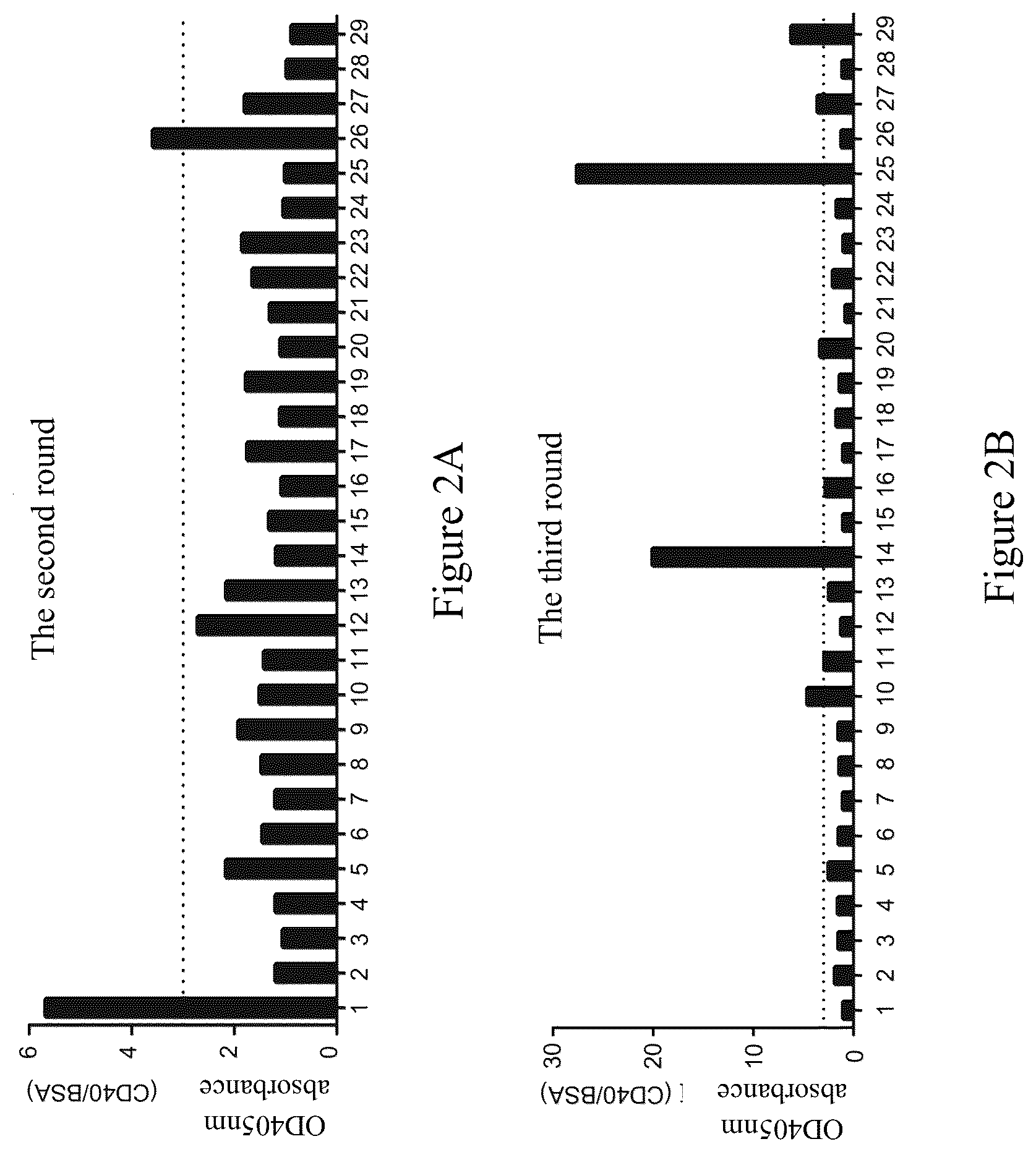 Patent US12365740 Figure 2 – Anti-CD40 antibodies and uses thereof