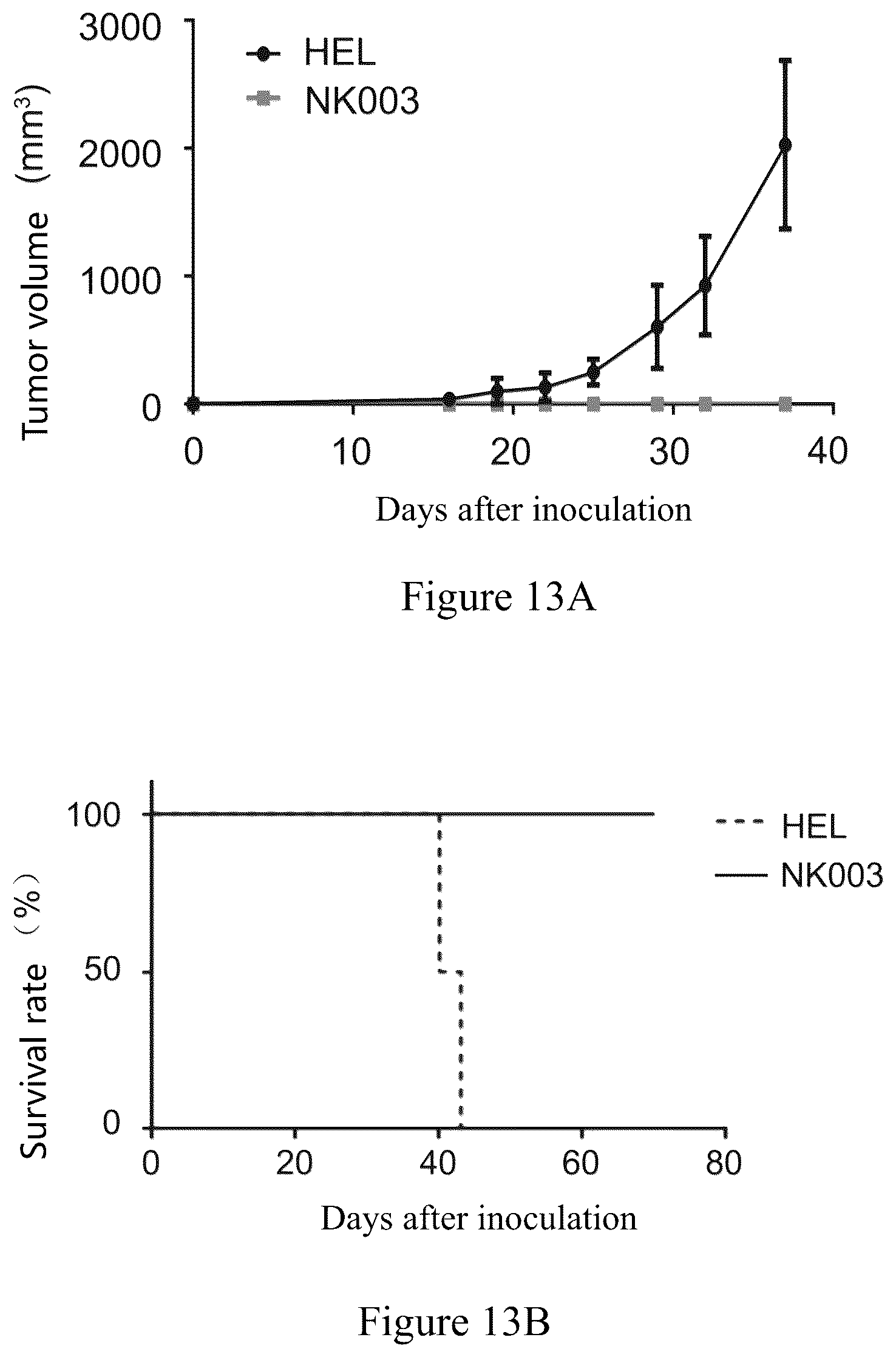 Patent US12365740 Figure 13 – Anti-CD40 antibodies and uses thereof