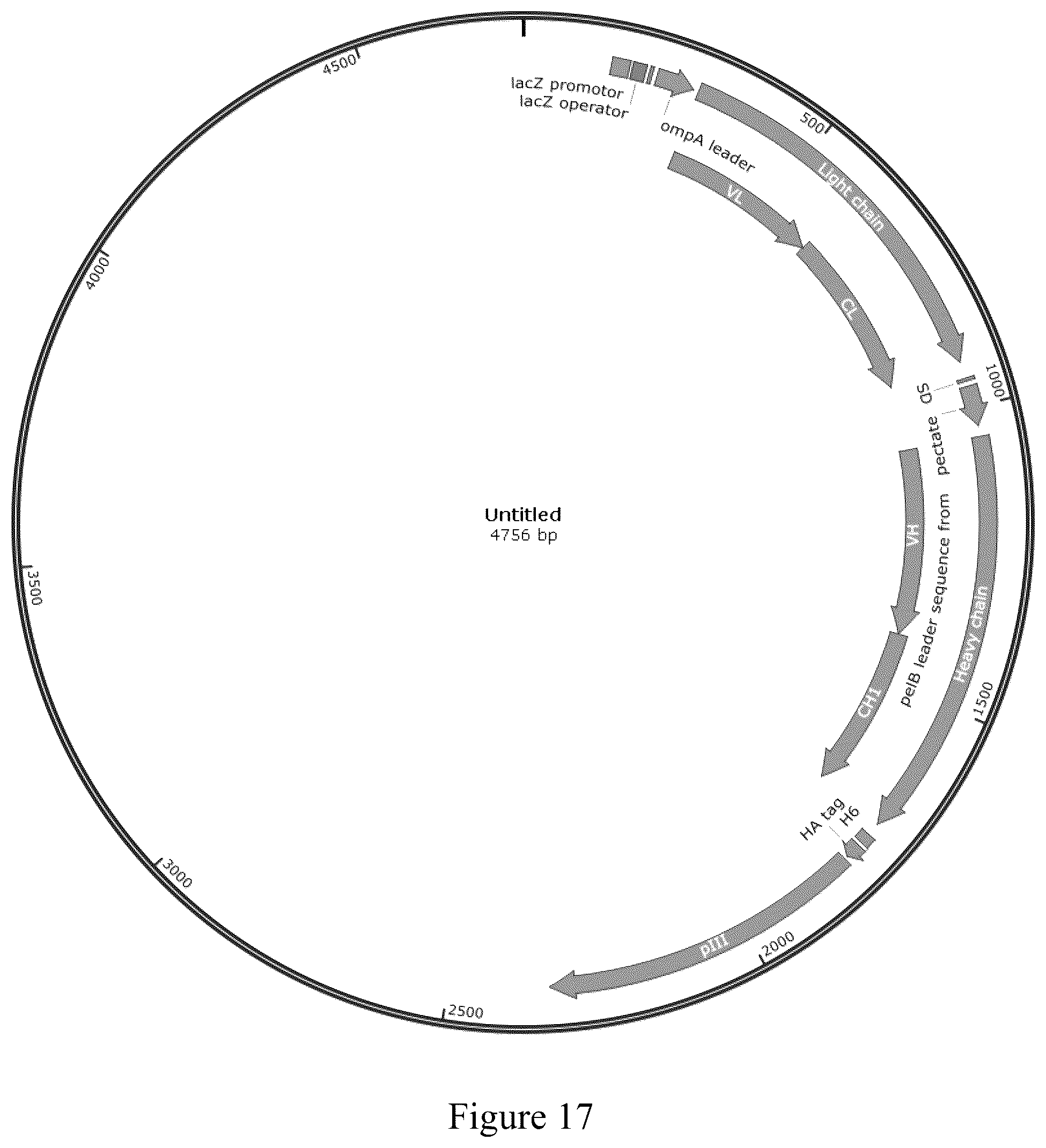 Patent US12365740 Figure 17 – Anti-CD40 antibodies and uses thereof