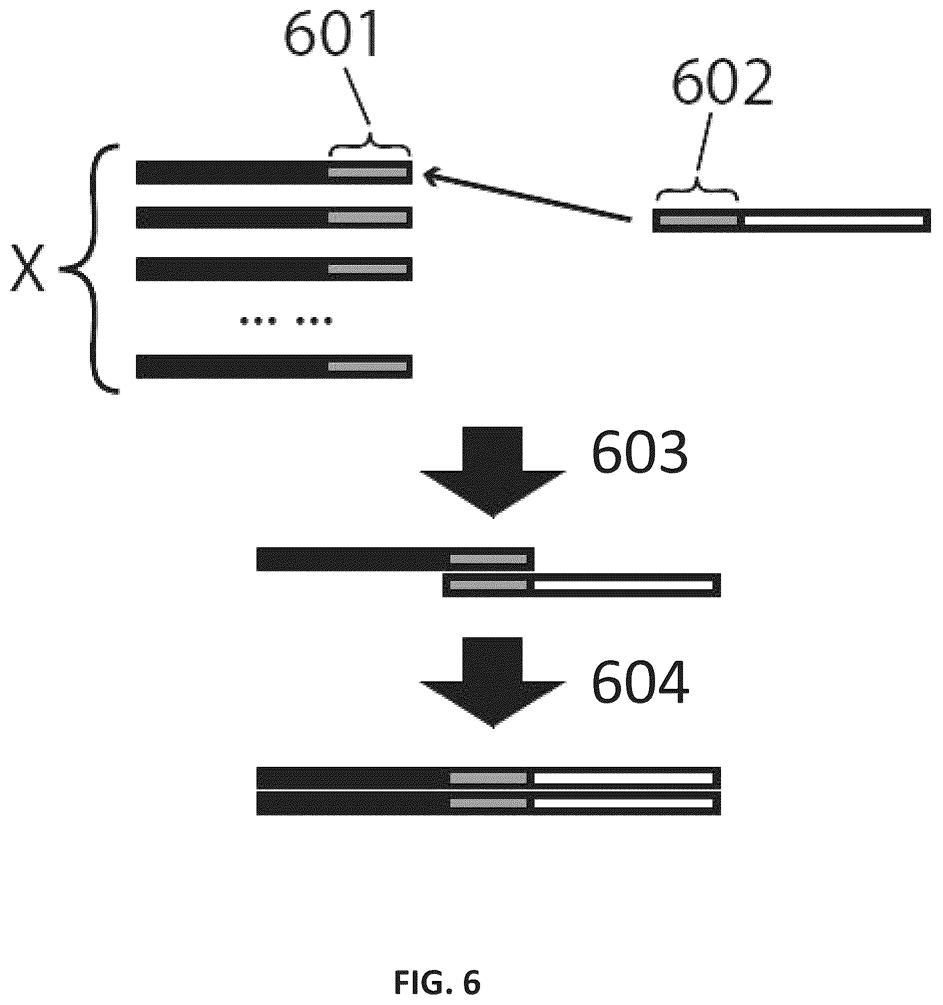 Patent US12365742 Figure 9 – Compositions and methods for t-cell receptor gene assembly