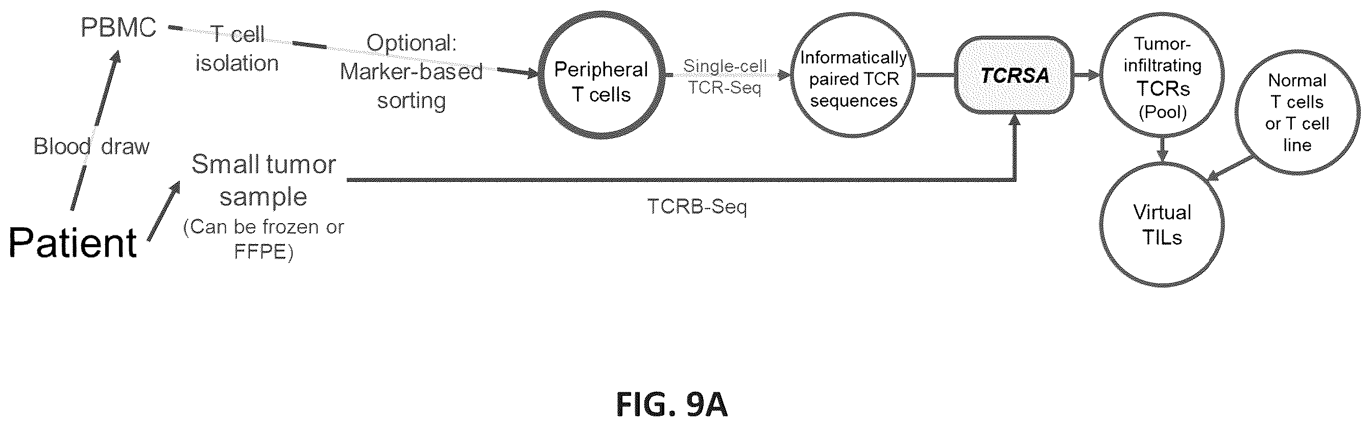 Patent US12365742 Figure 12 – Compositions and methods for t-cell receptor gene assembly