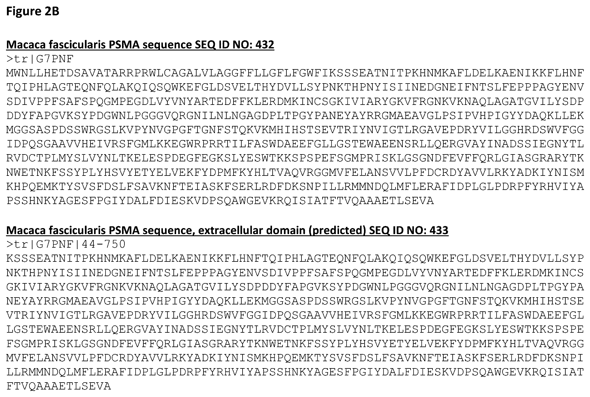 Patent US12365743 Figure 4 – Anti-CD28 x anti-PSMA antibodies