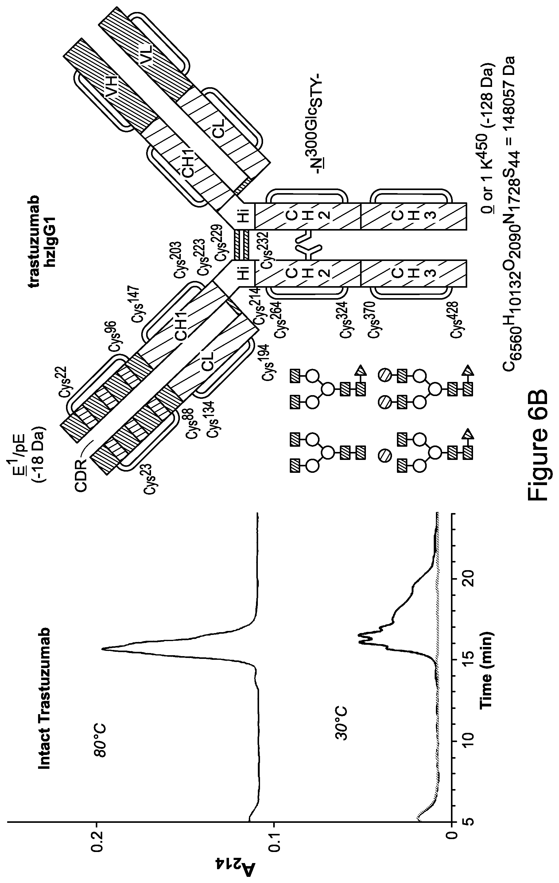 Patent US12365751 Figure 10 – Materials for hydrophilic interaction chromatography and processes for preparation and use thereof for analysis of glycoproteins and glycopeptides