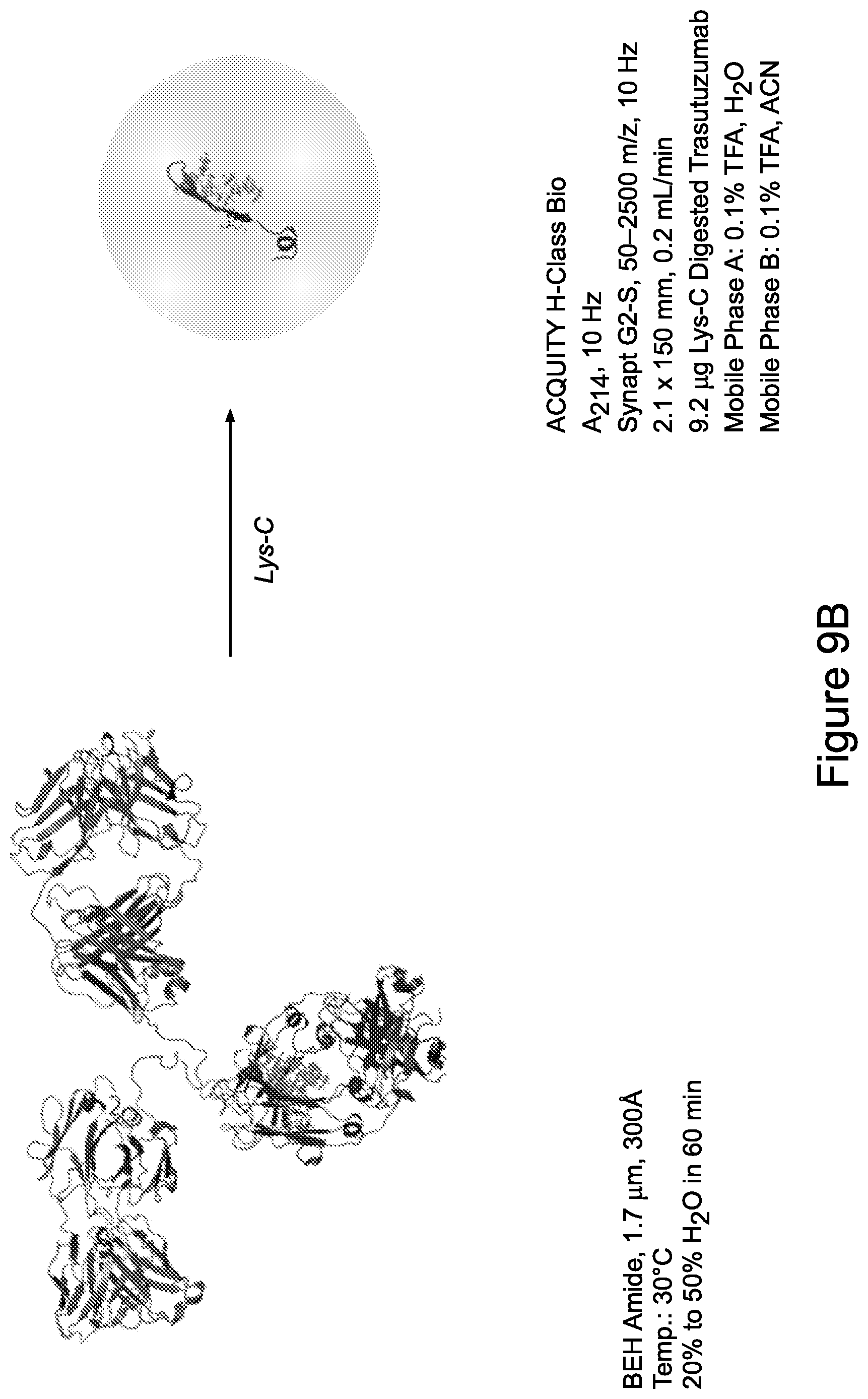 Patent US12365751 Figure 15 – Materials for hydrophilic interaction chromatography and processes for preparation and use thereof for analysis of glycoproteins and glycopeptides