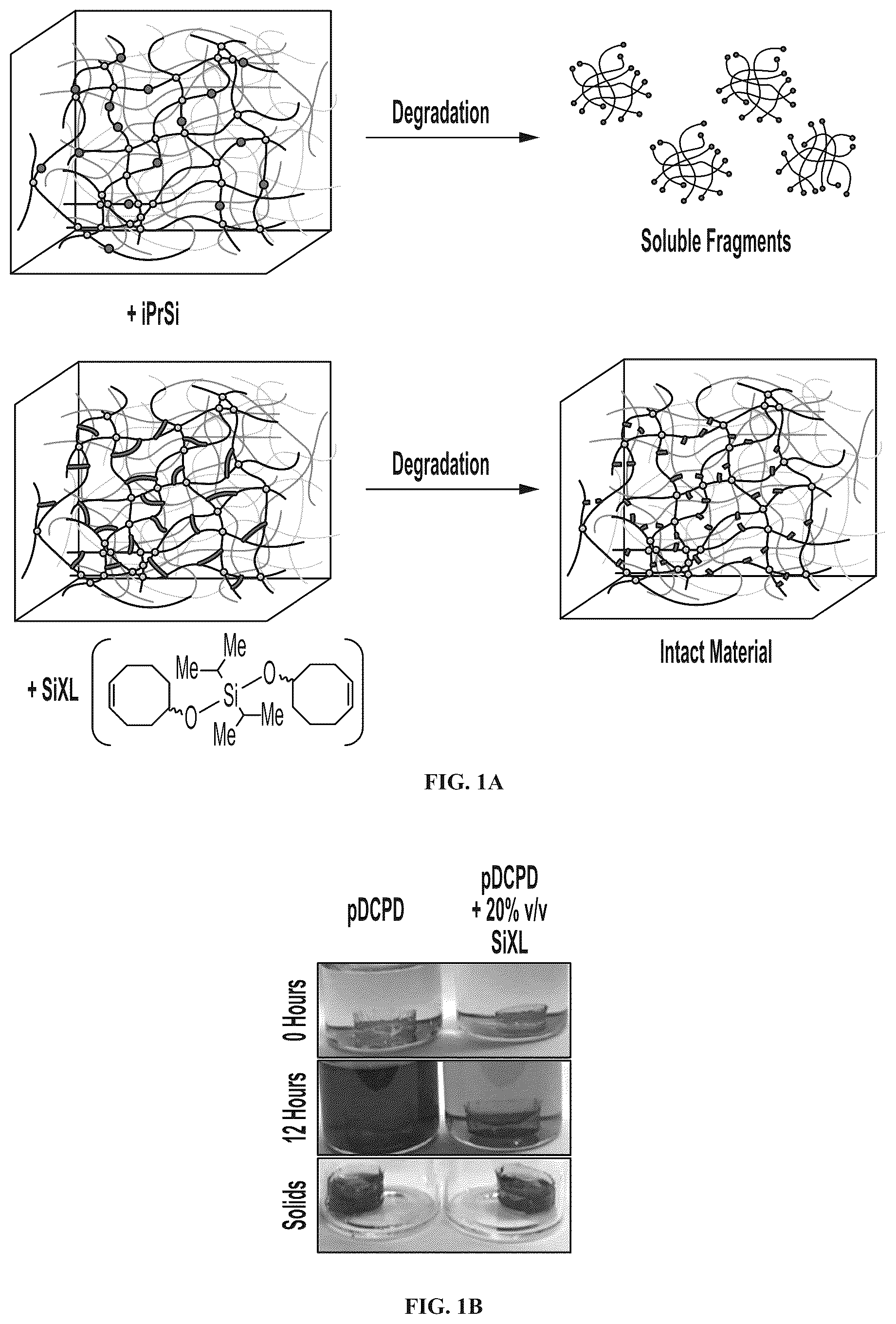 Patent US12365752 Figure 1 – Functional oligomers and functional polymers including hydroxylated polymers and conjugates thereof and uses thereof