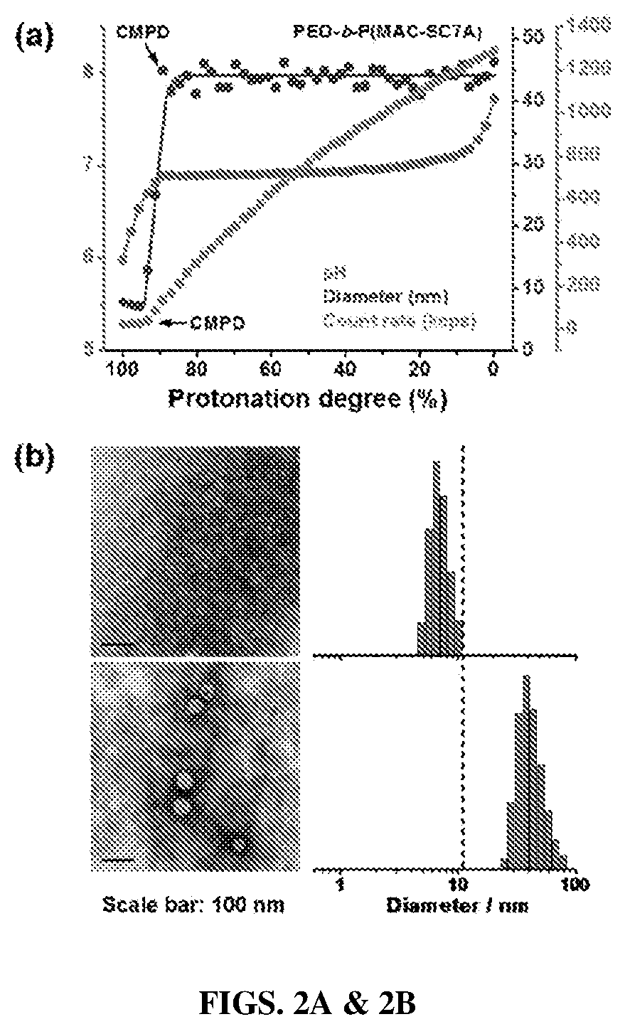 Patent US12365761 Figure 2 – Biodegradable ultra-pH sensitive polymers