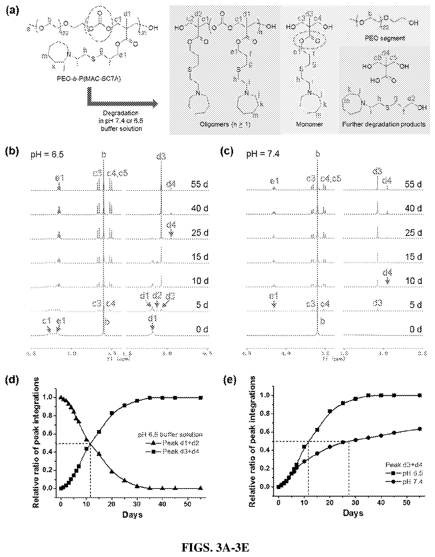 Patent US12365761 Figure 3 – Biodegradable ultra-pH sensitive polymers