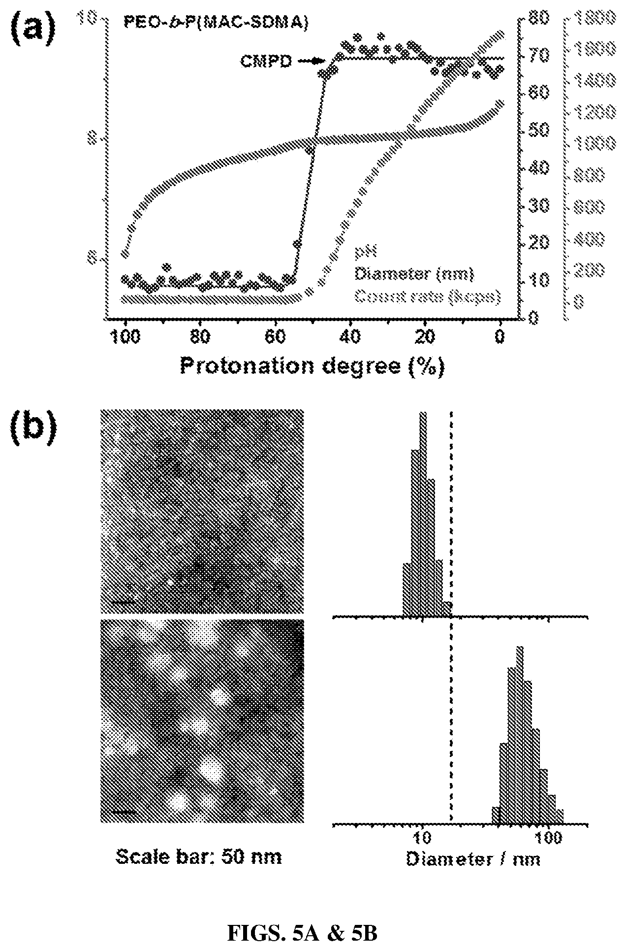 Patent US12365761 Figure 5 – Biodegradable ultra-pH sensitive polymers