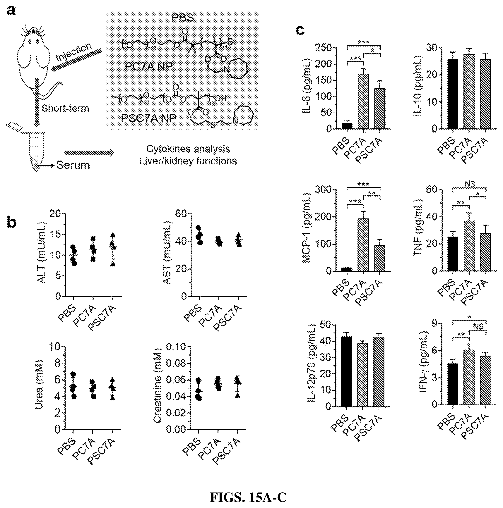 Patent US12365761 Figure 12 – Biodegradable ultra-pH sensitive polymers