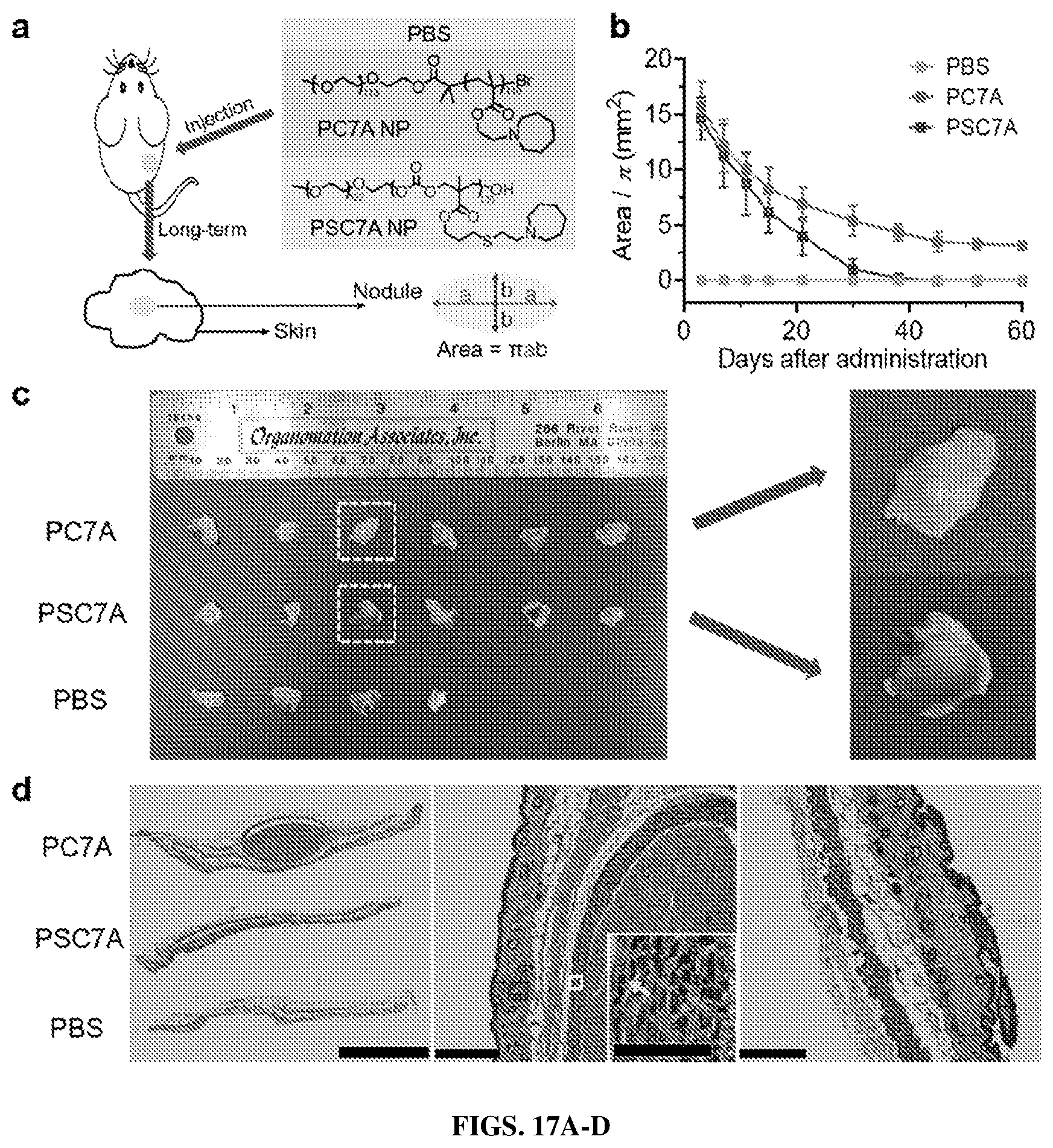 Patent US12365761 Figure 14 – Biodegradable ultra-pH sensitive polymers