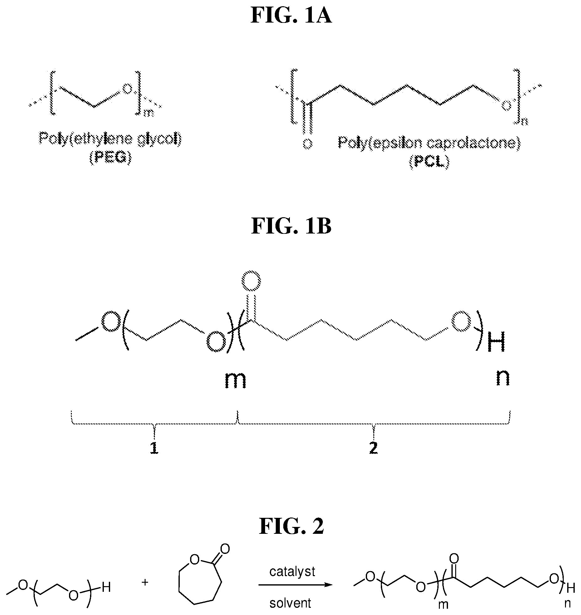 Patent US12365767 Figure 1 – Synthesis of polyester based polymers without use of organic solvents